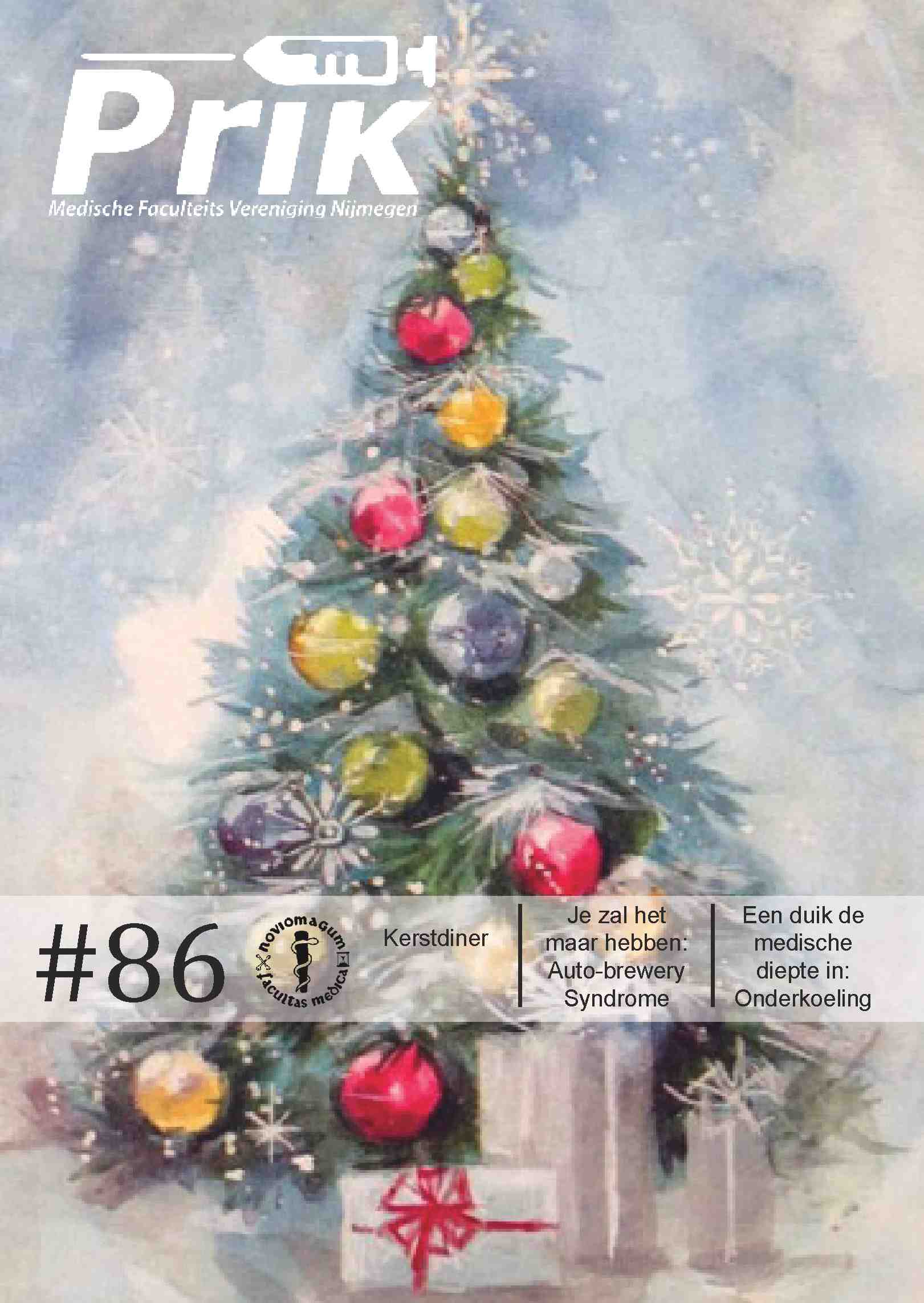 Cover editie december 2020