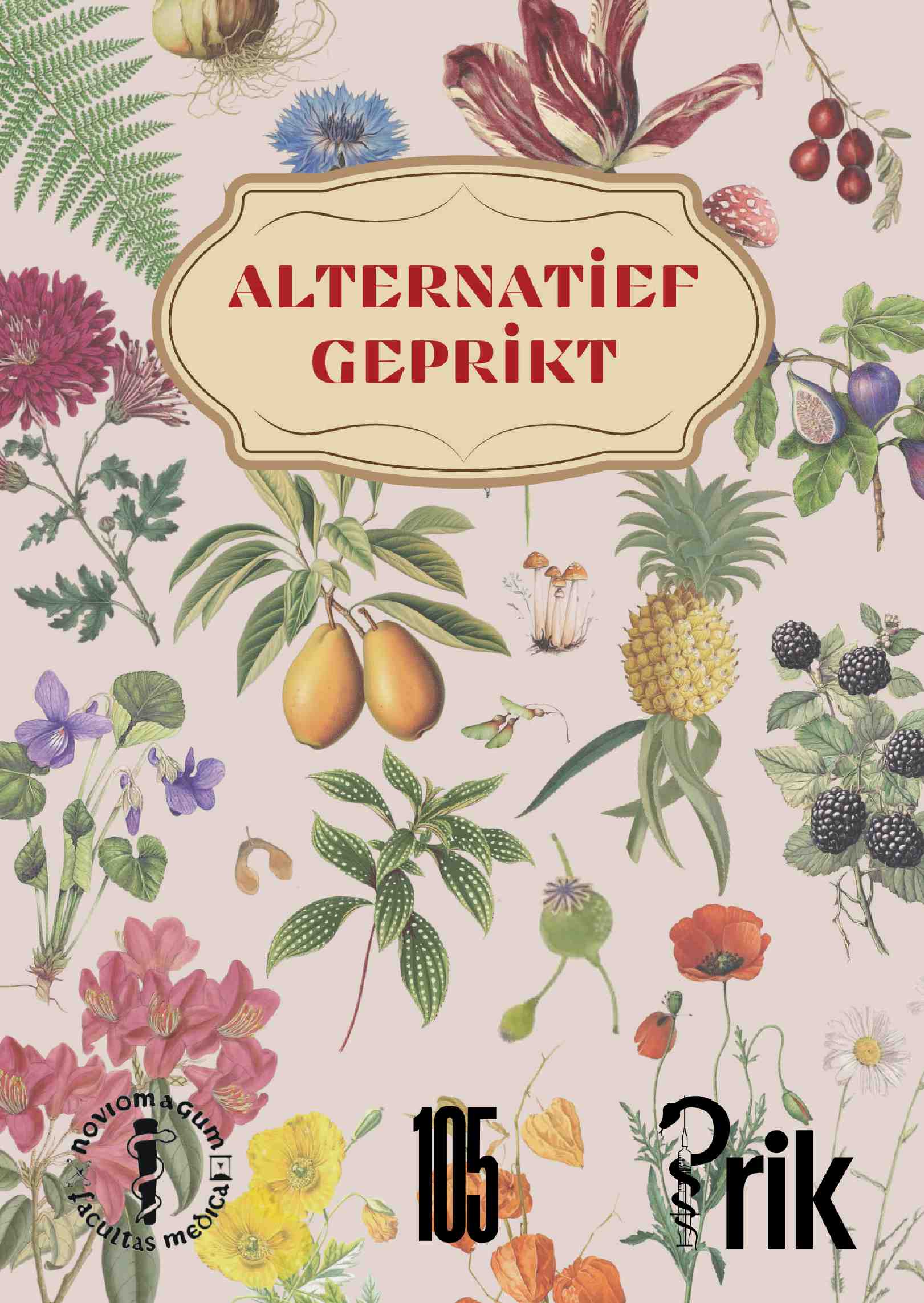 Cover editie november 2025