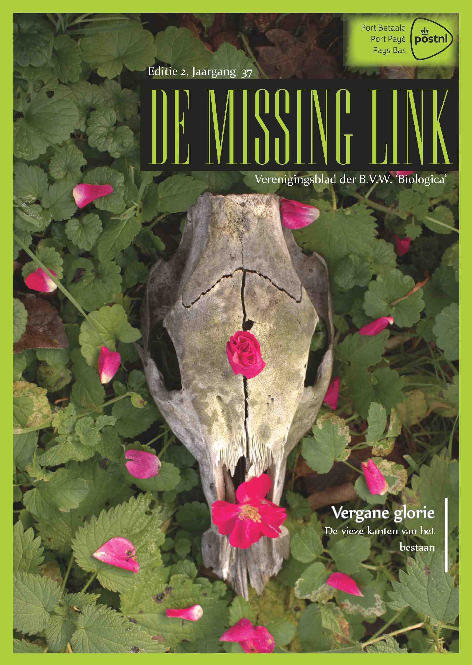 Cover editie december 2020