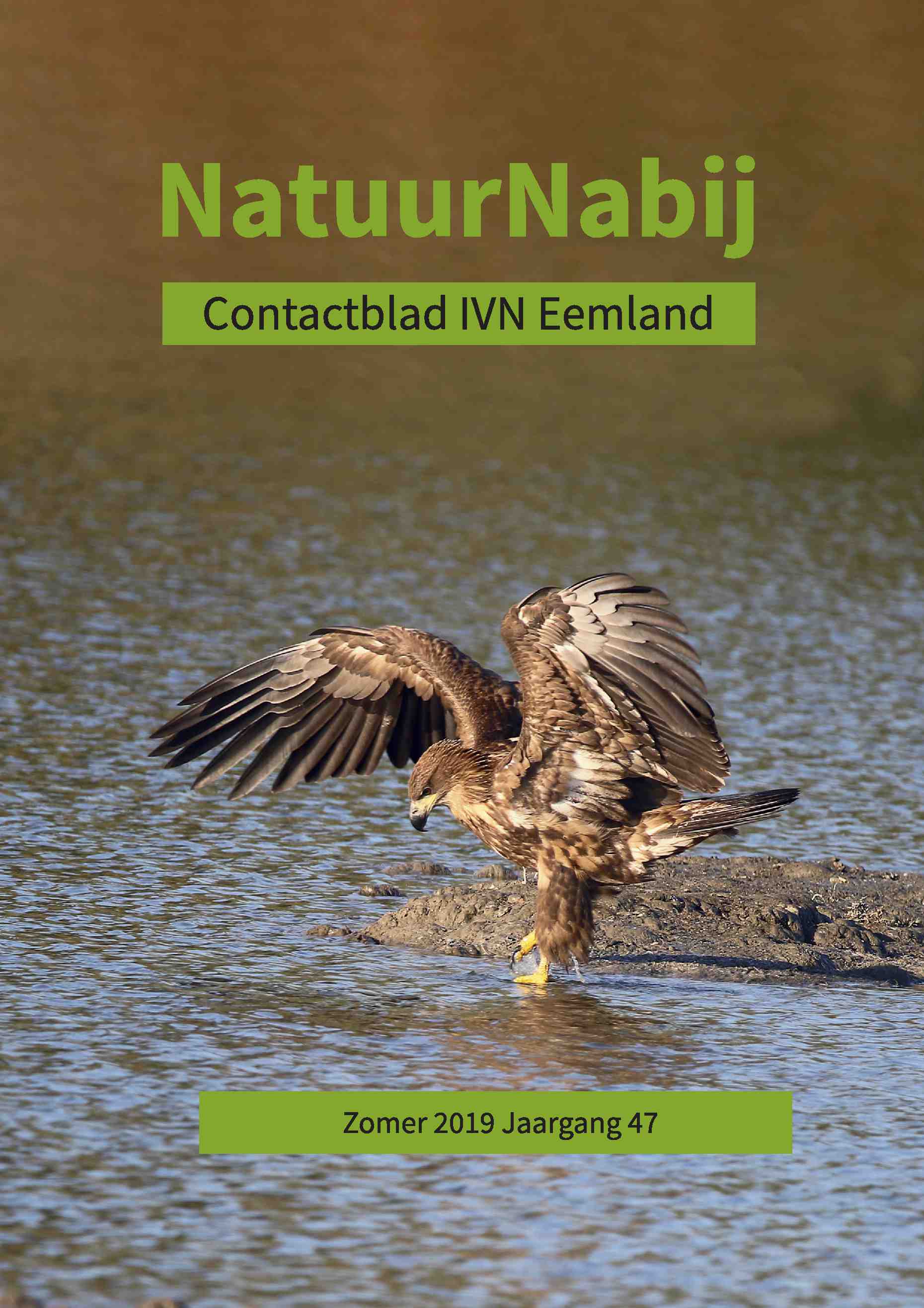 Cover editie juli 2019