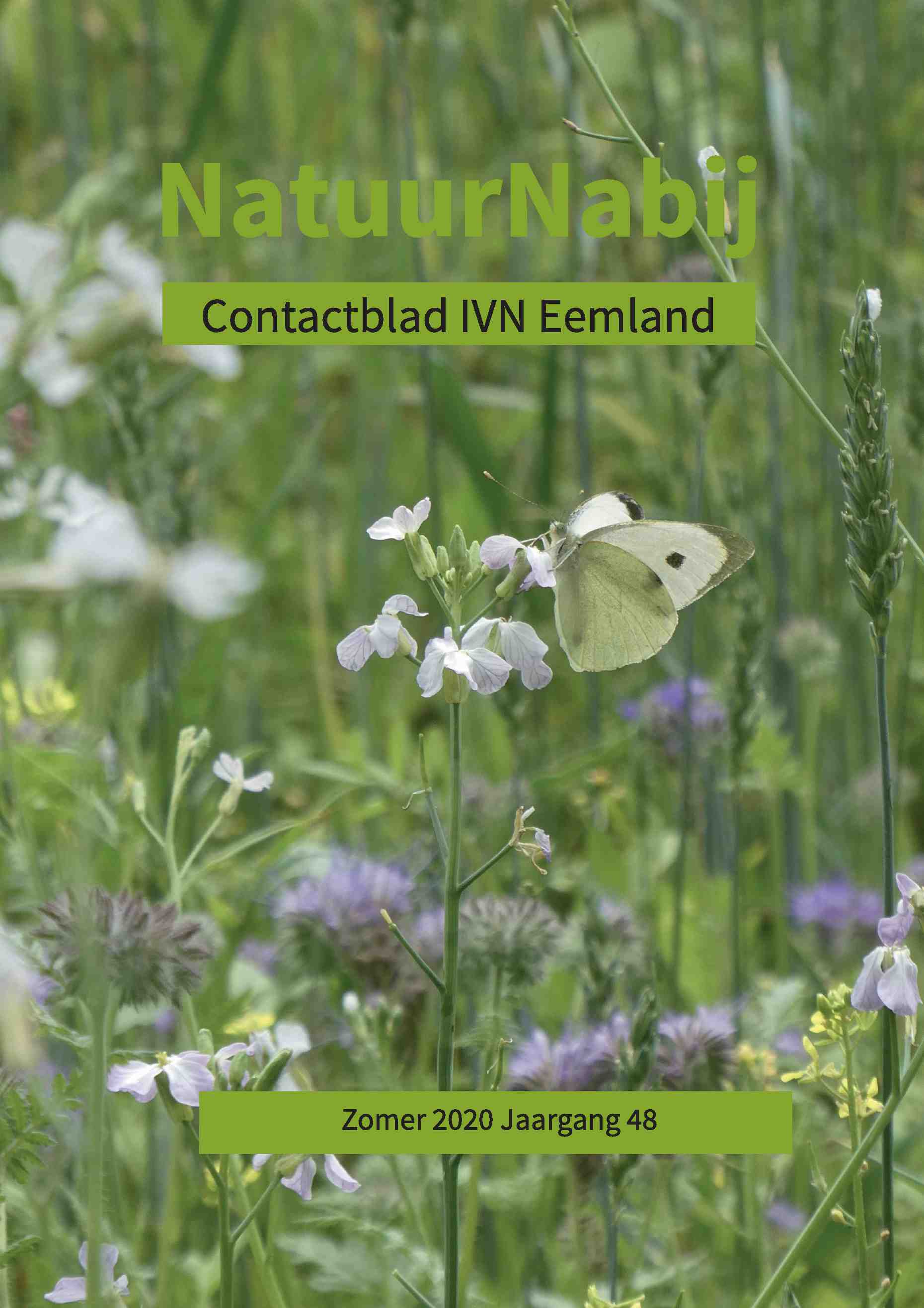 Cover editie juli 2020