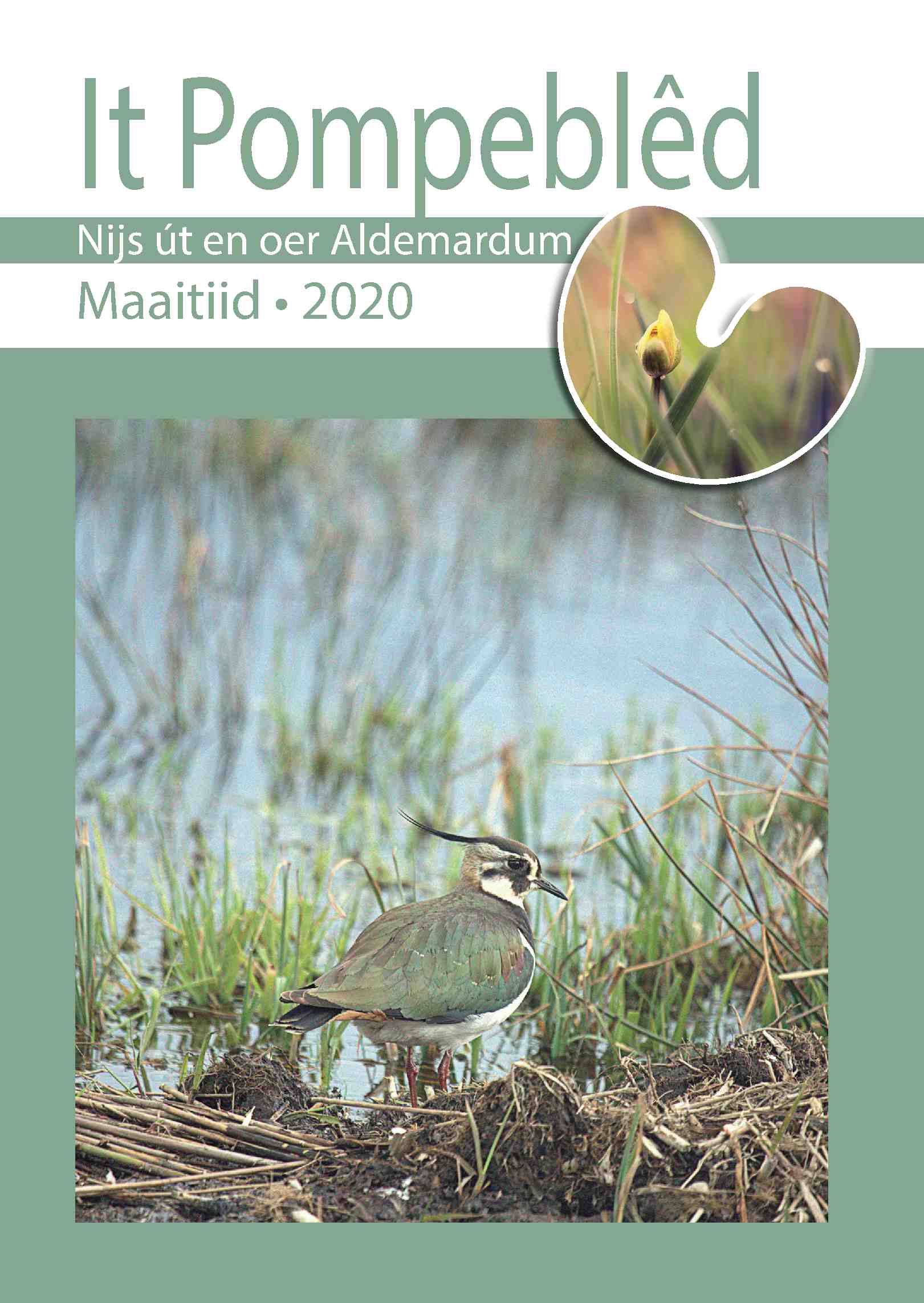 Cover editie maart 2020