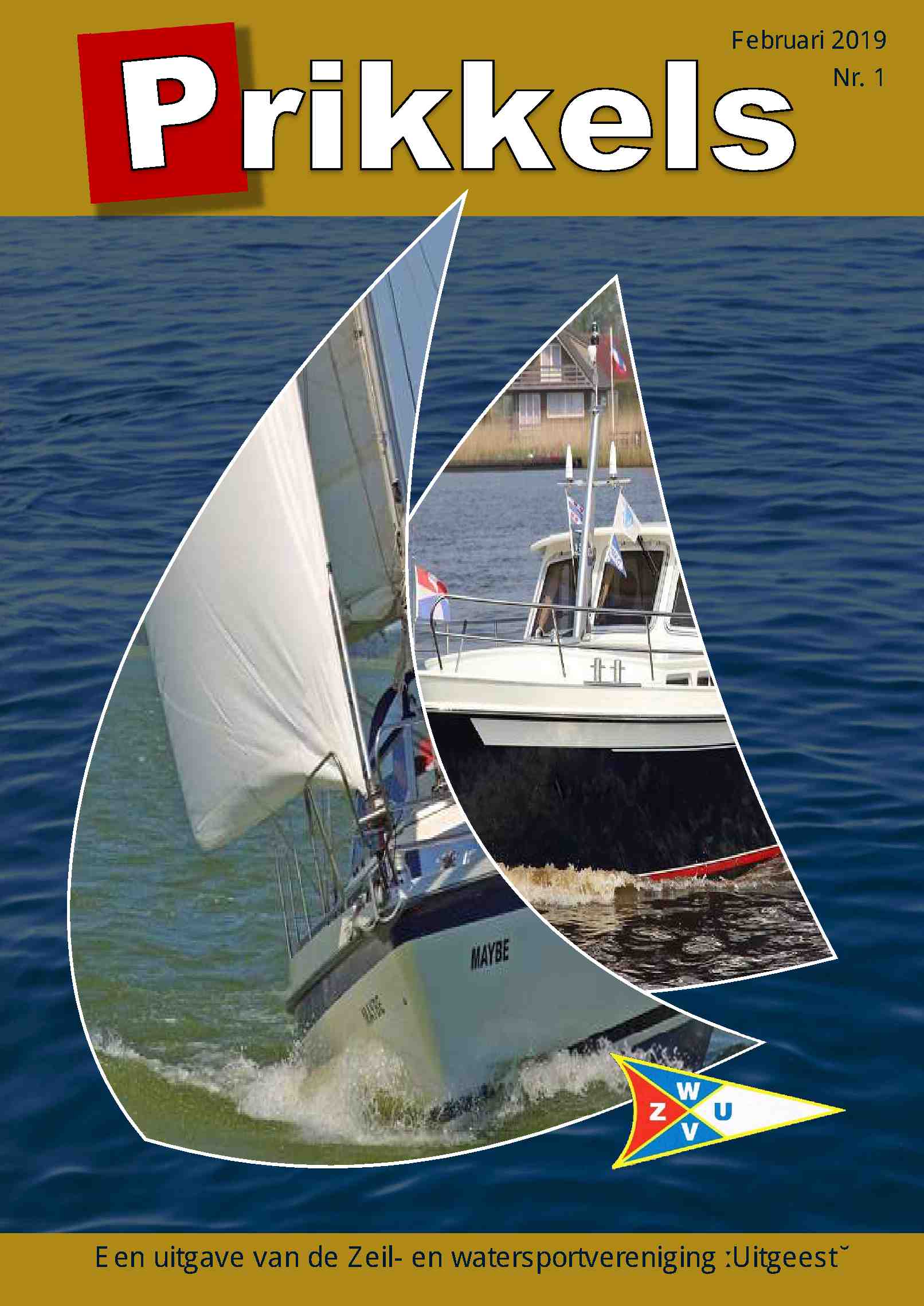 Cover editie januari 2019