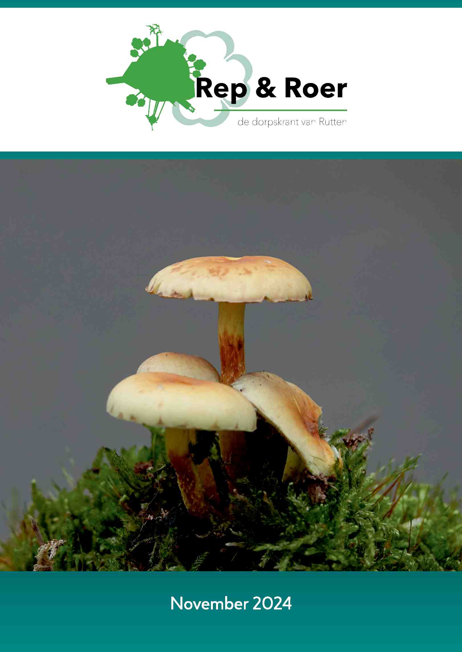 Cover editie november 2024