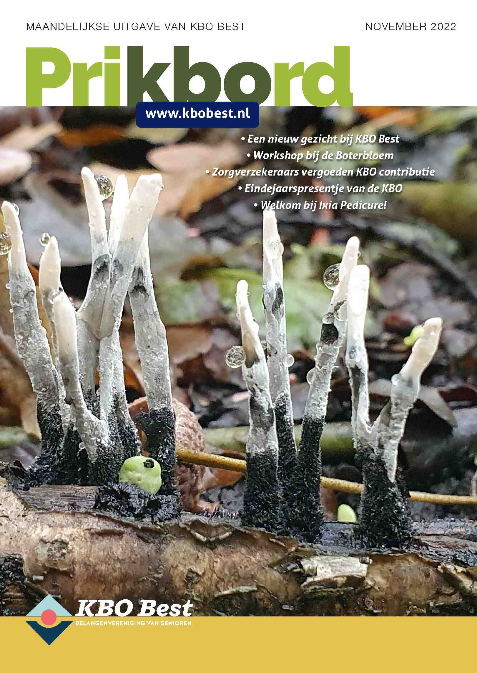 Cover editie november 2022