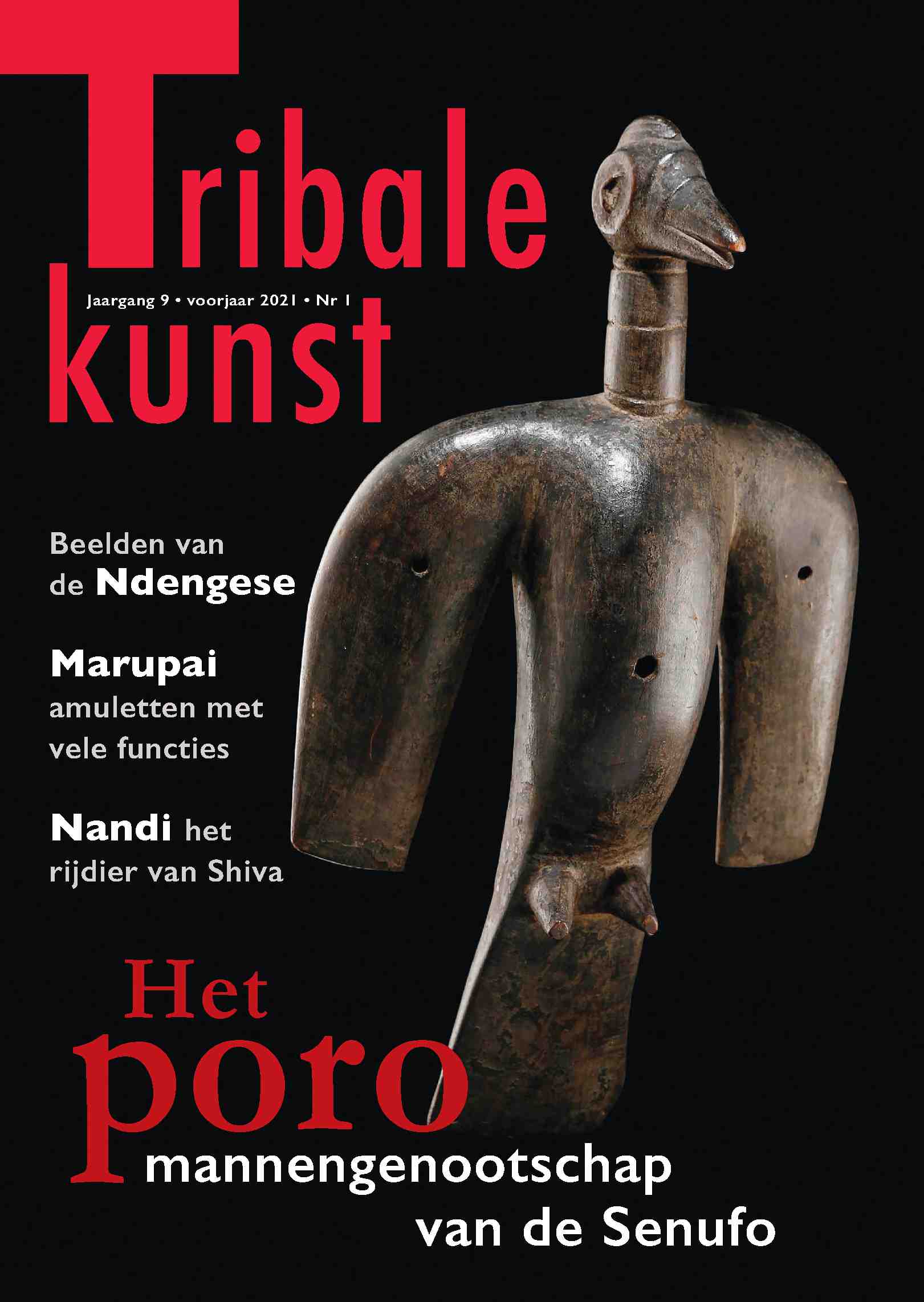Cover editie februari 2021
