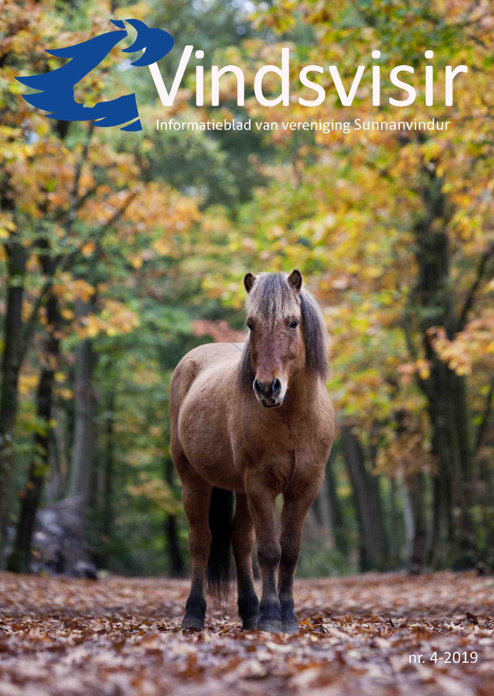 Cover editie november 2019