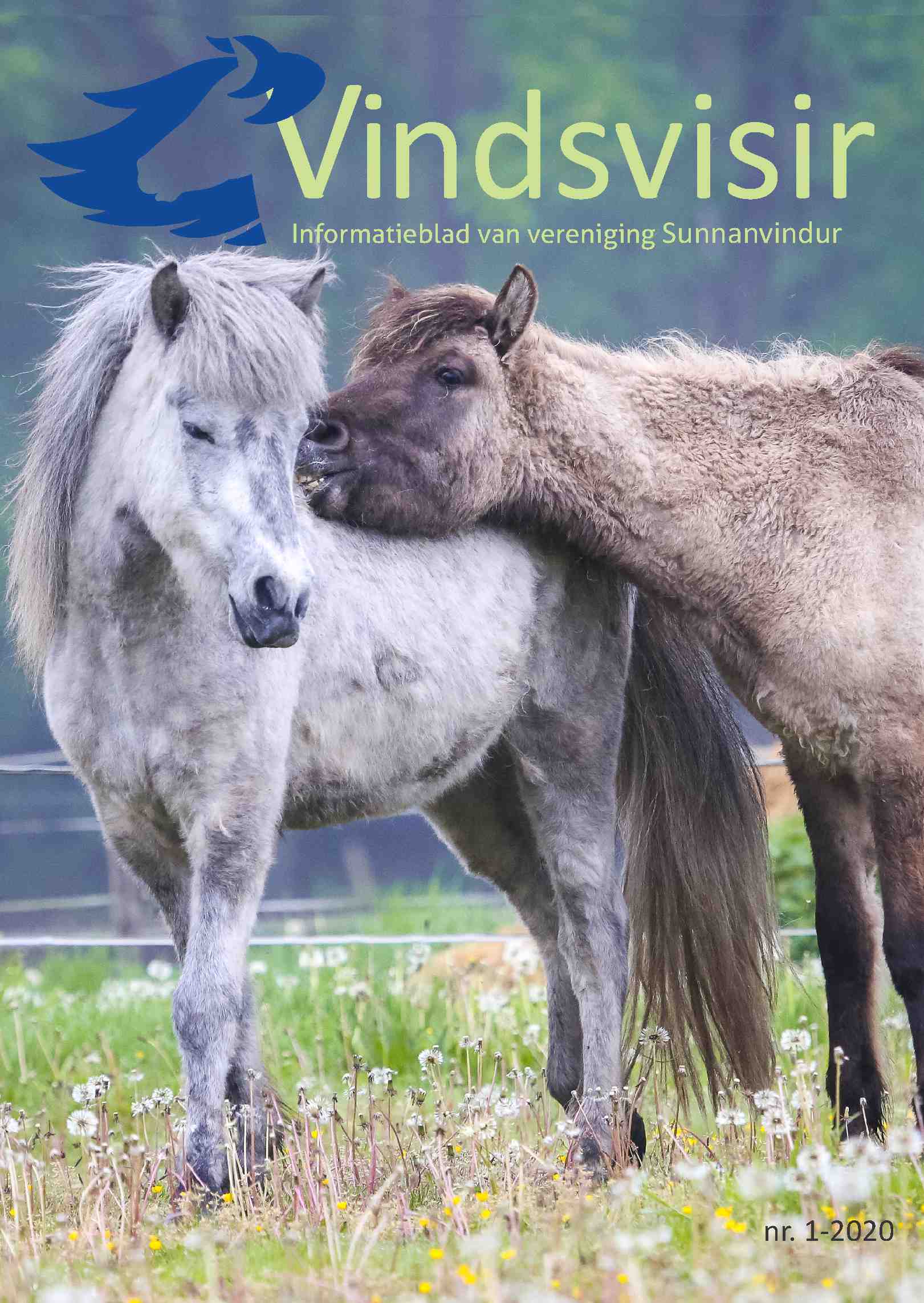 Cover editie februari 2020