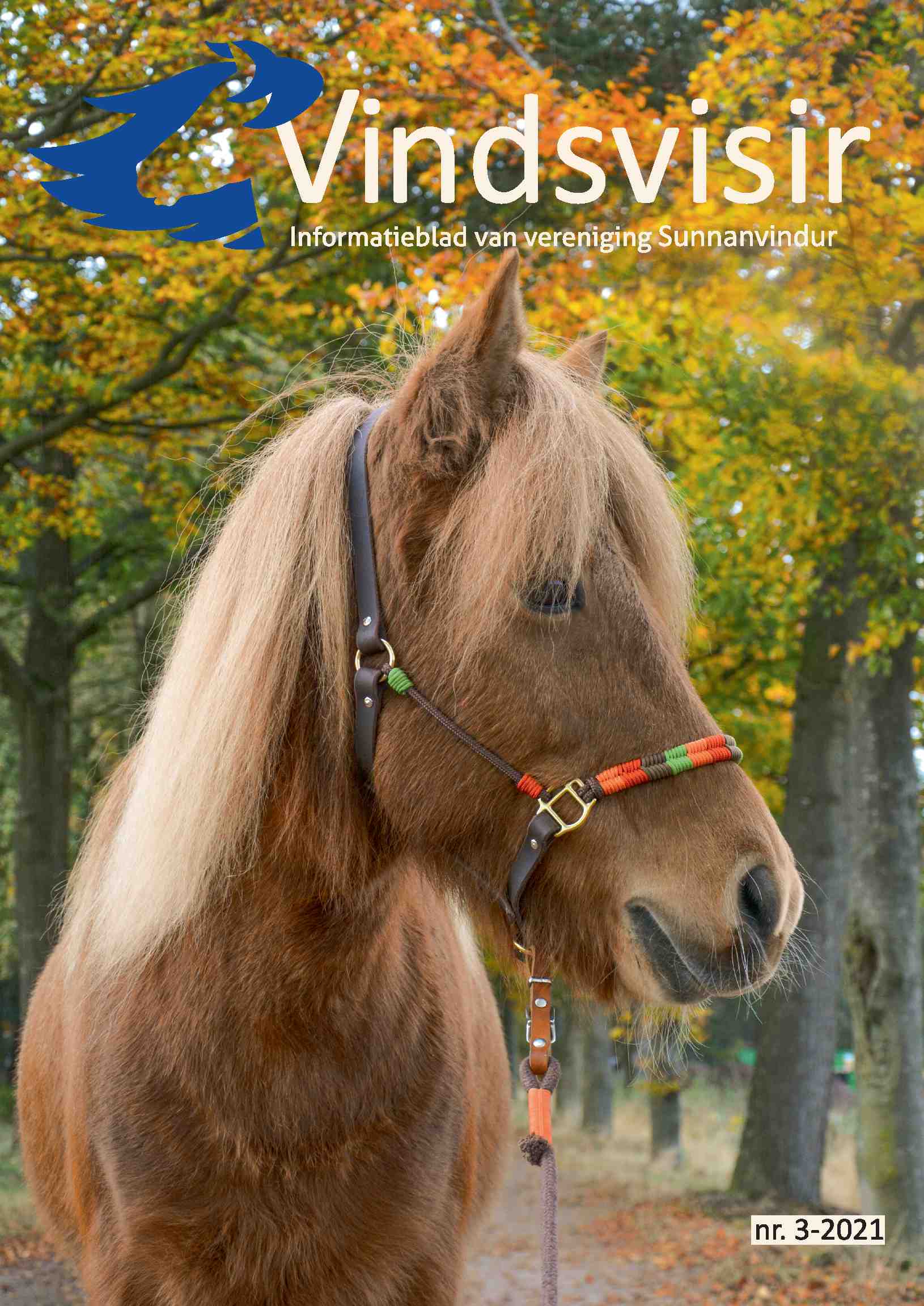 Cover editie november 2021