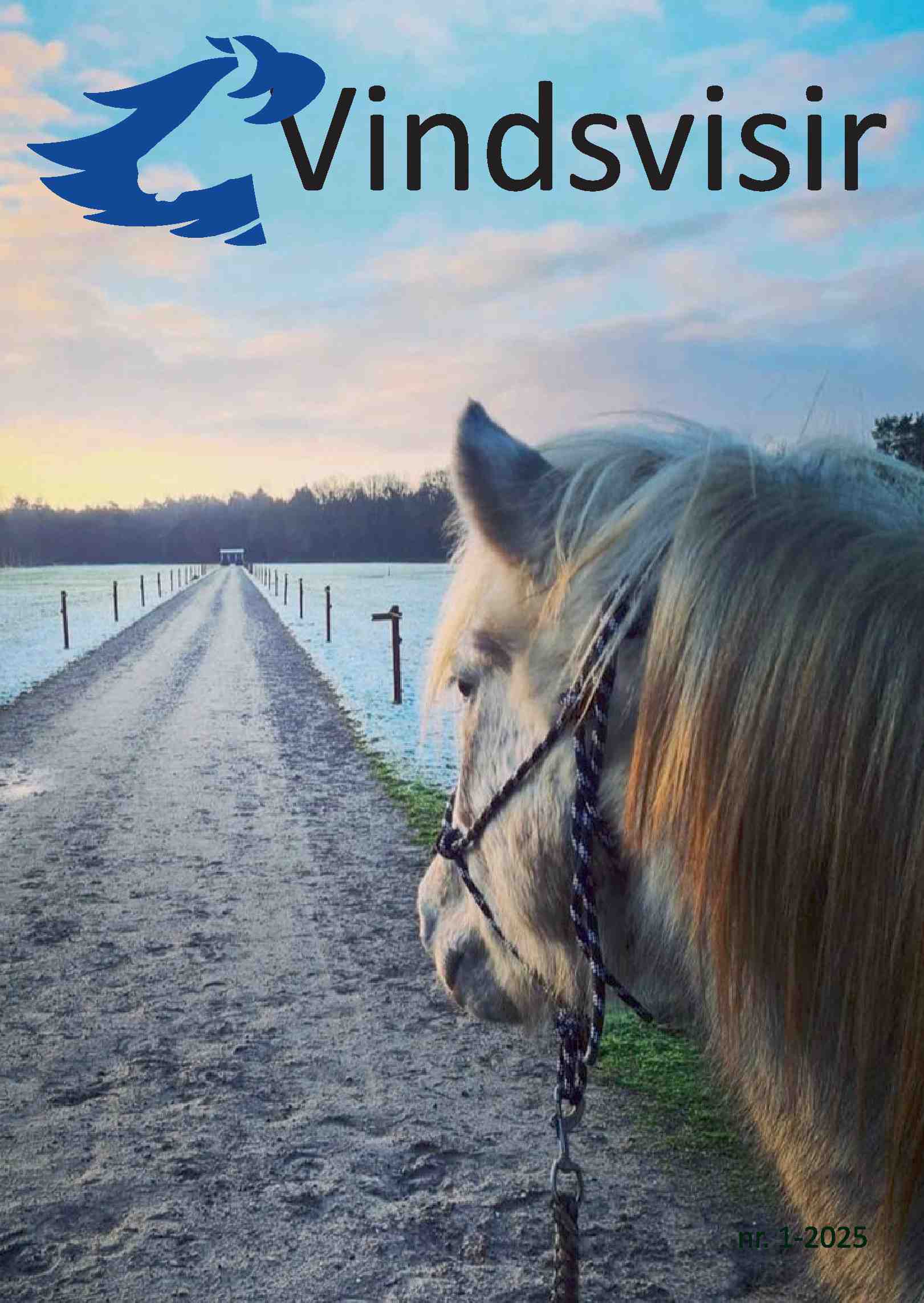 Cover editie januari 2025