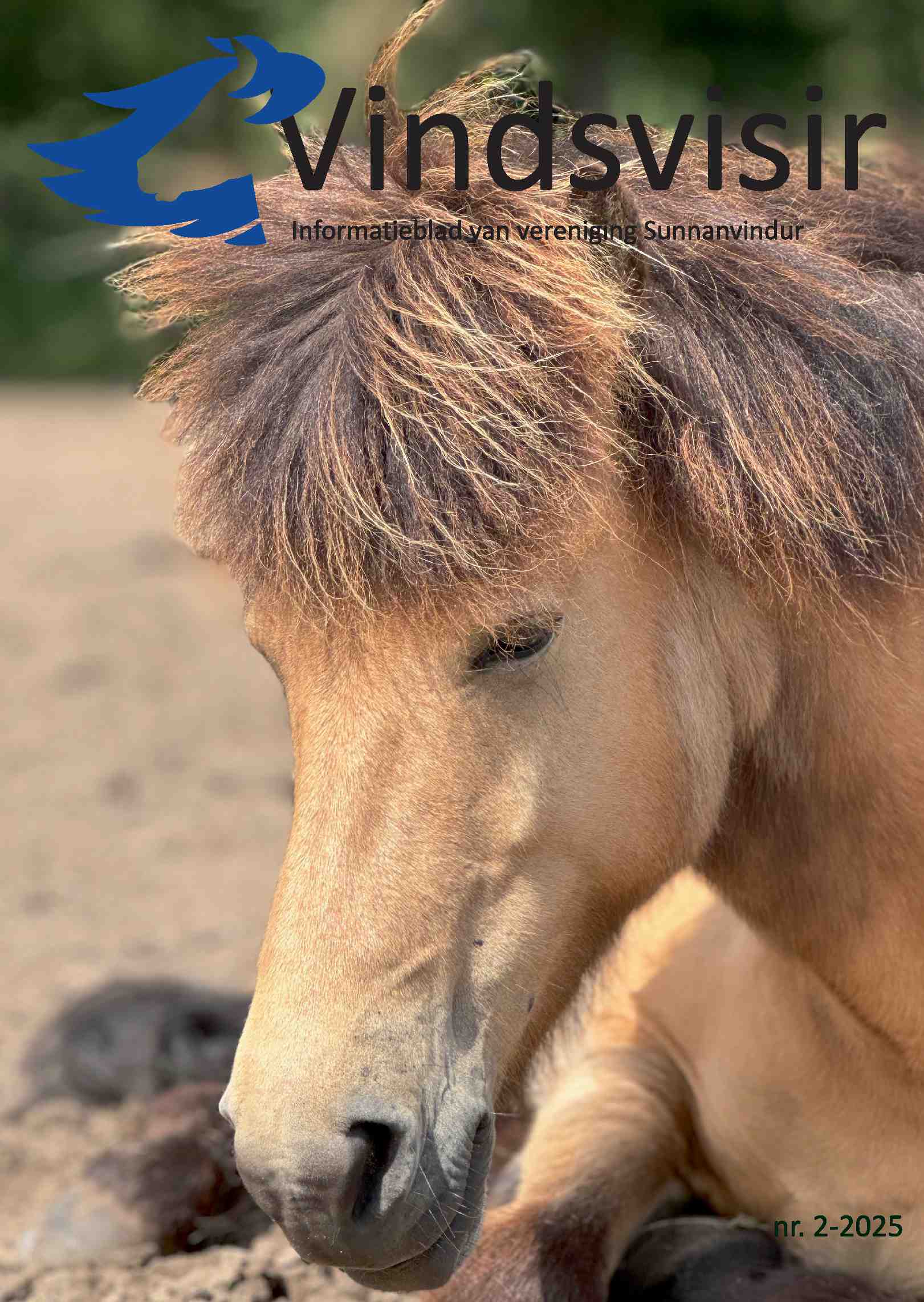 Cover editie maart 2025