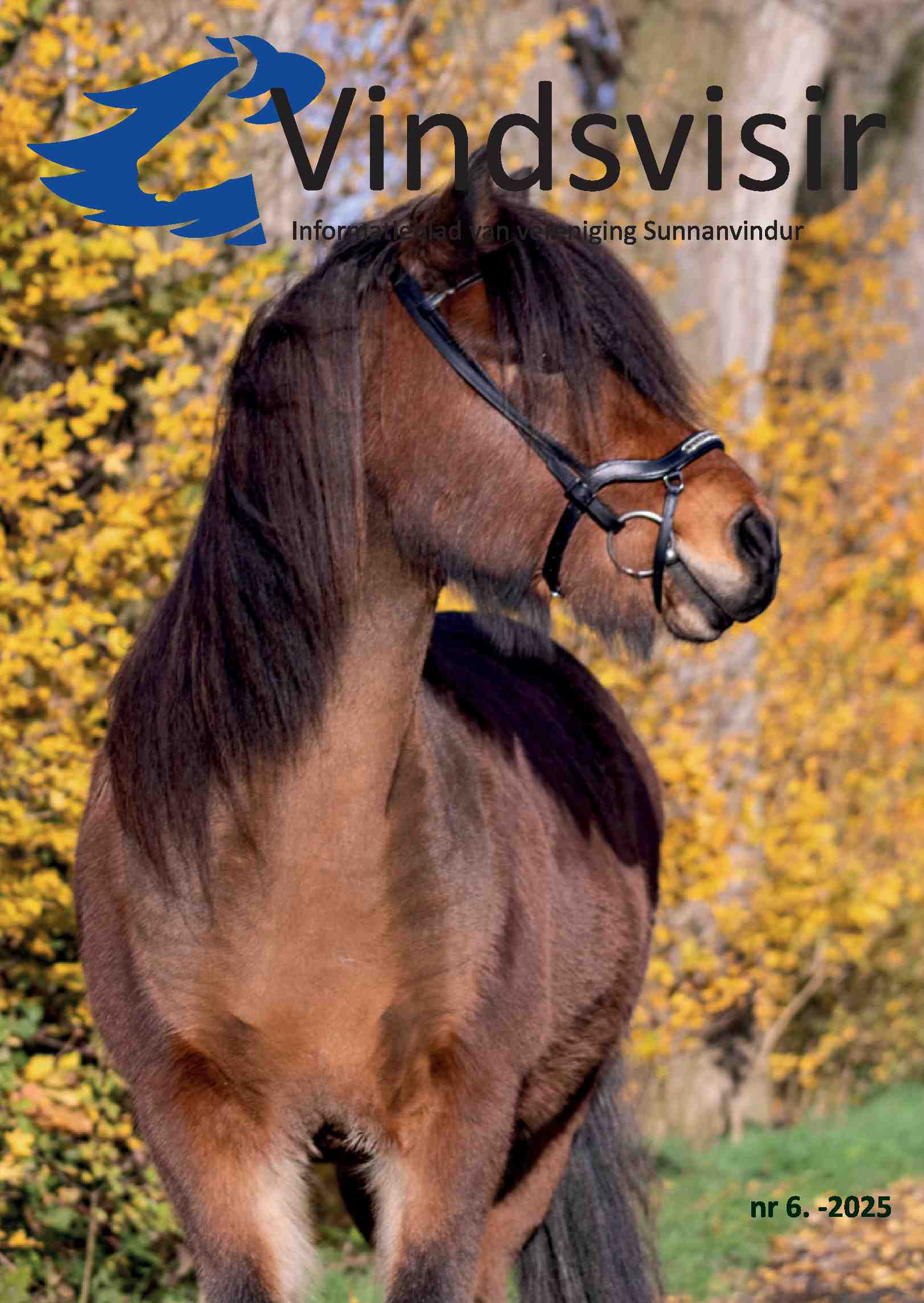 Cover editie november 2025