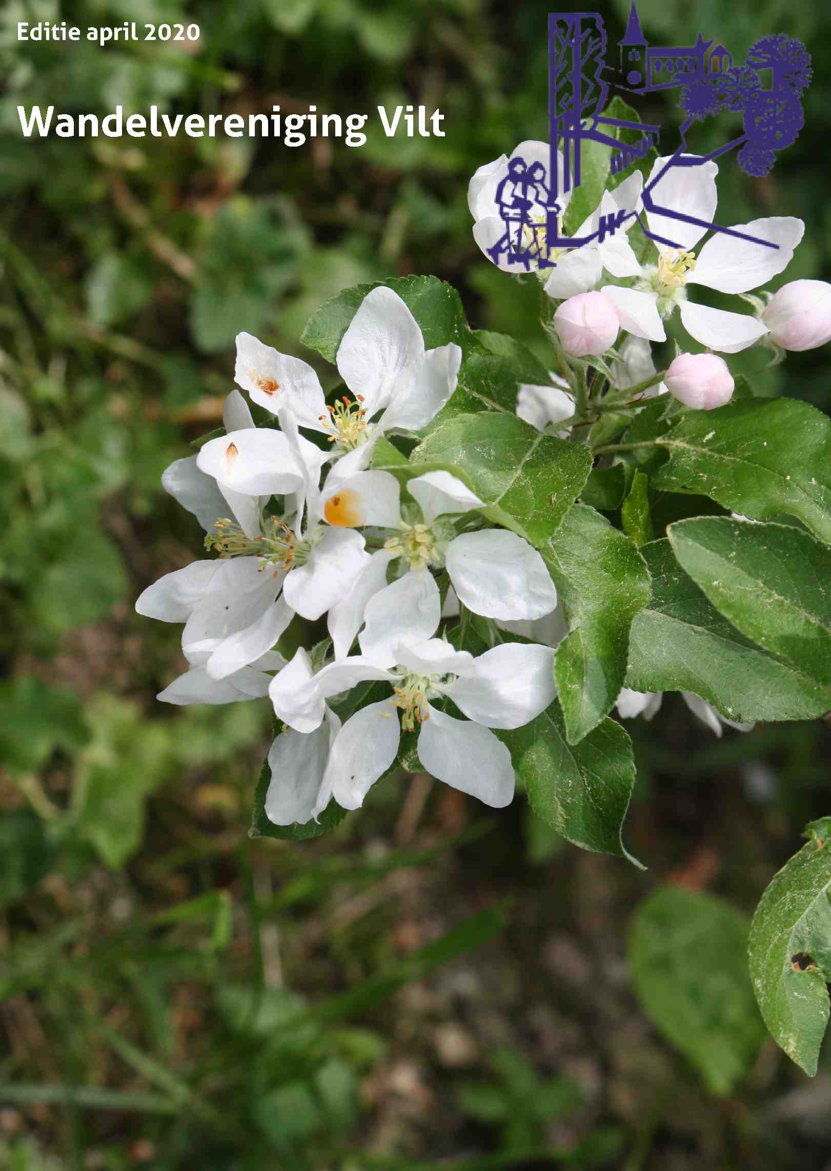 Cover editie april 2020