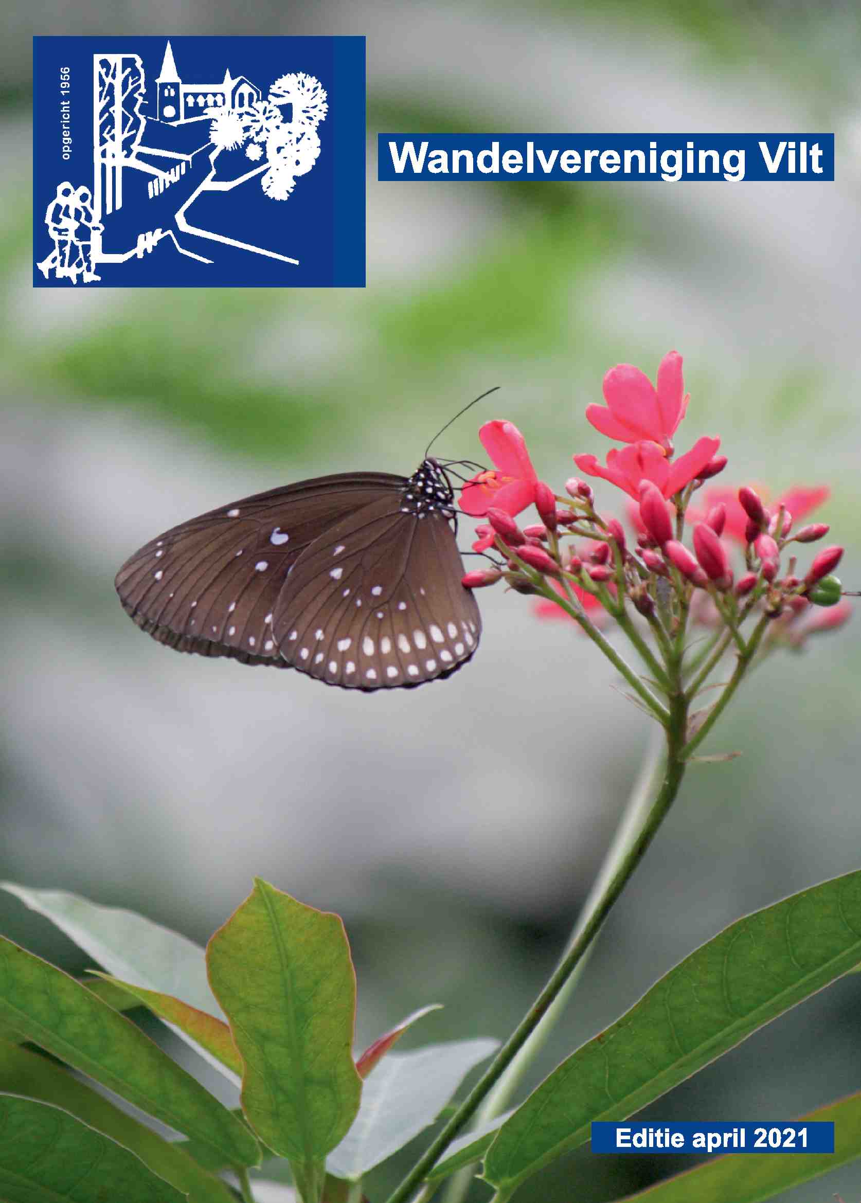 Cover editie april 2021