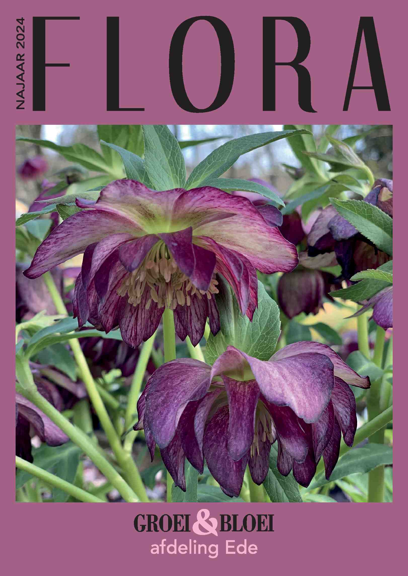 Cover editie september 2024