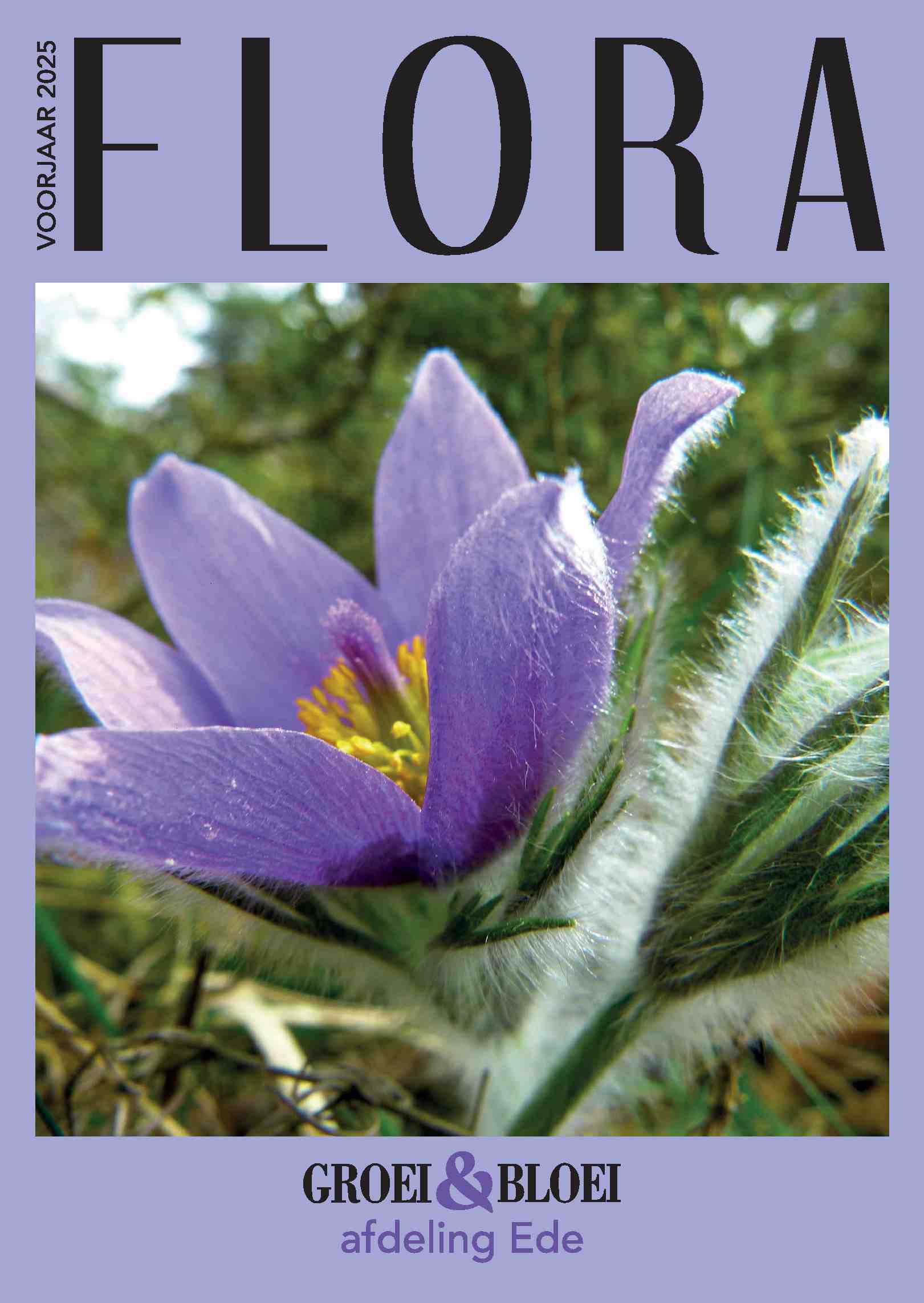 Cover editie februari 2025