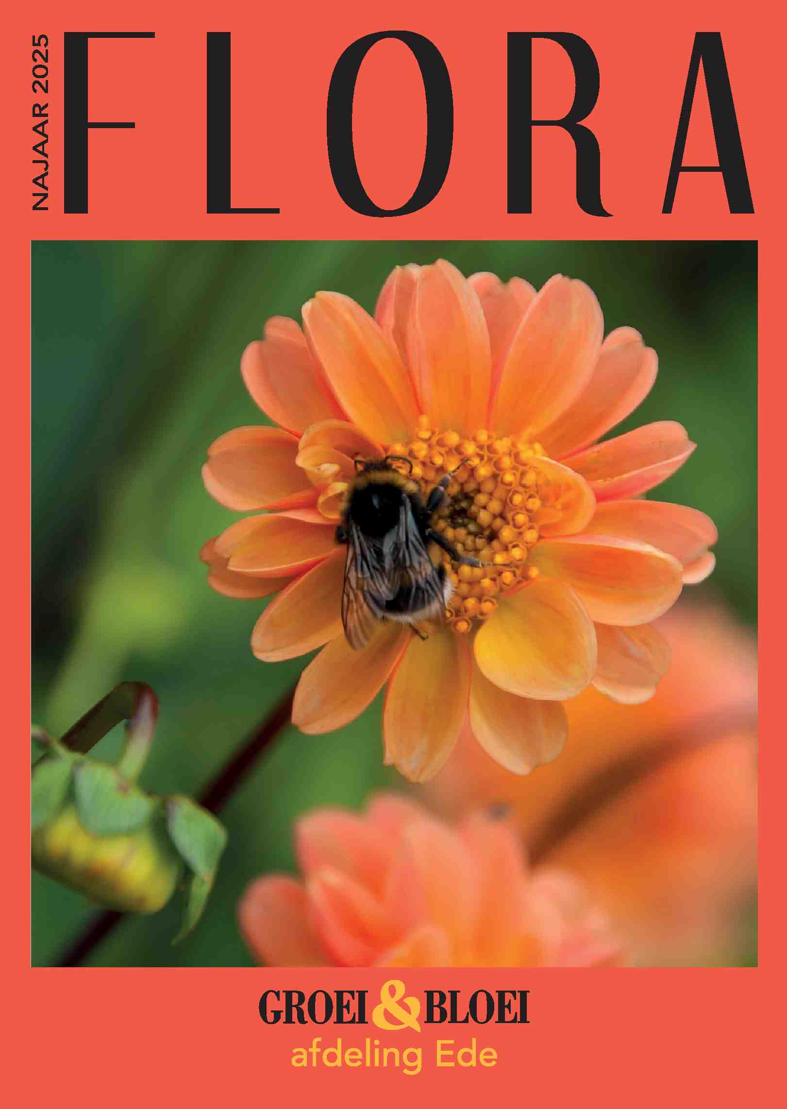 Cover editie september 2025