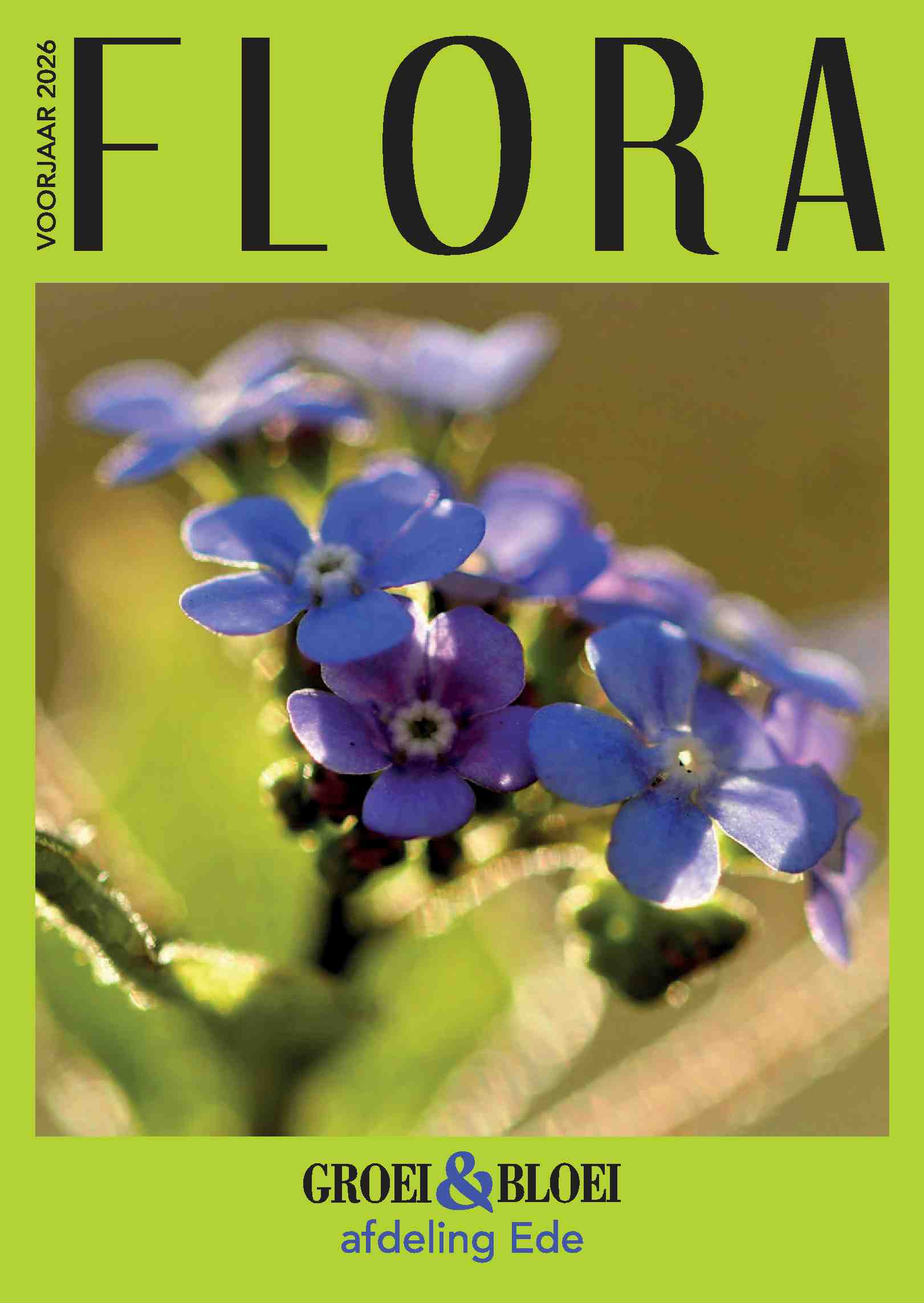 Cover editie februari 2026