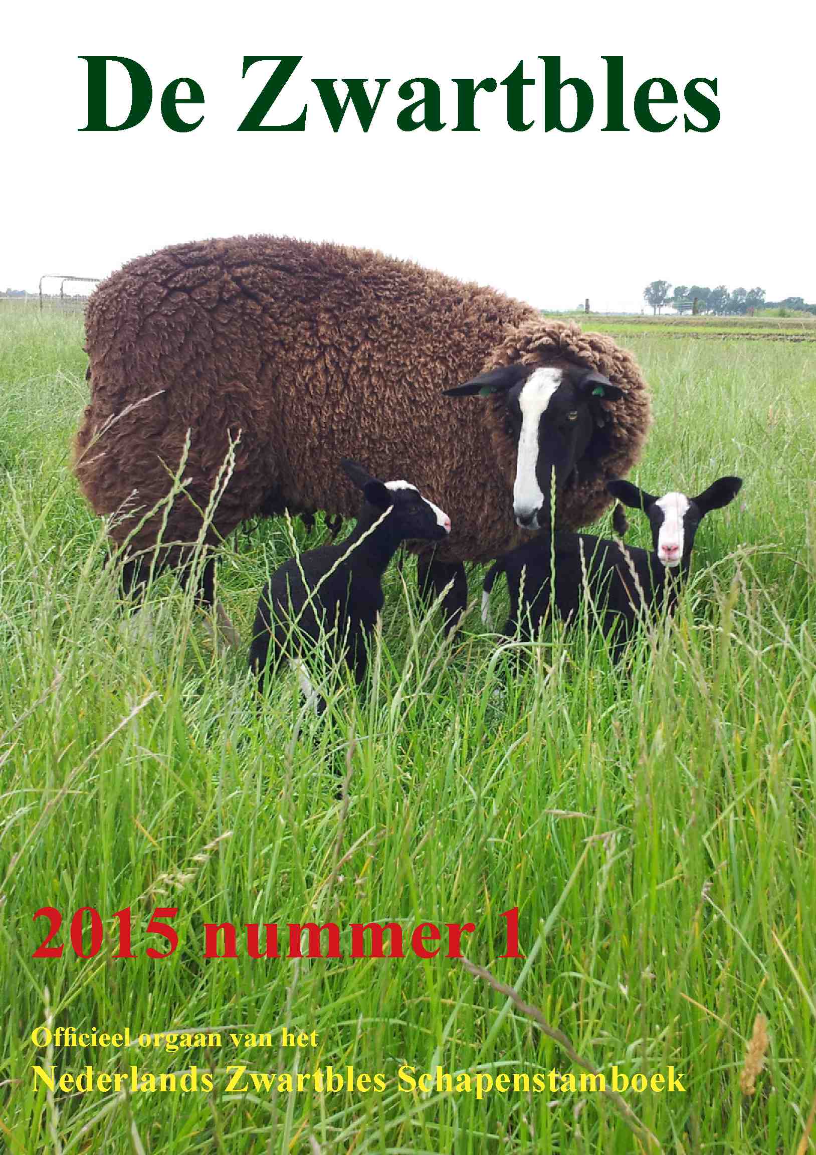 Cover editie maart 2015