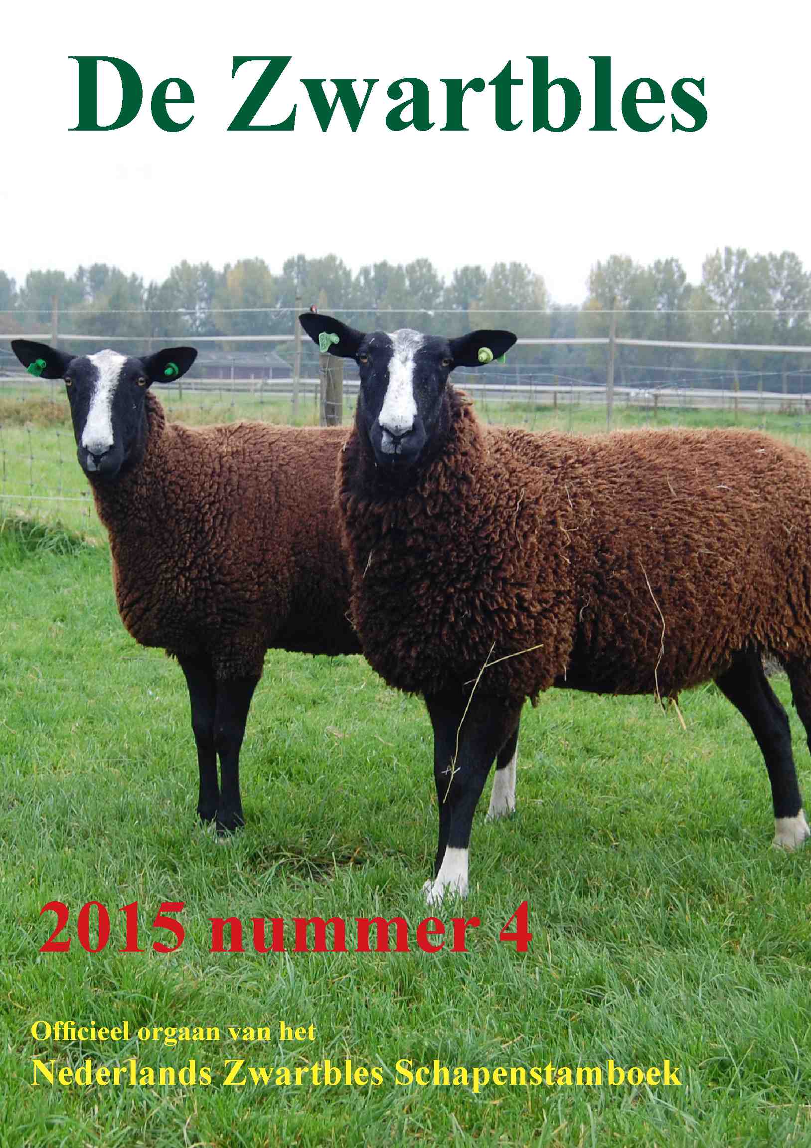 Cover editie december 2015