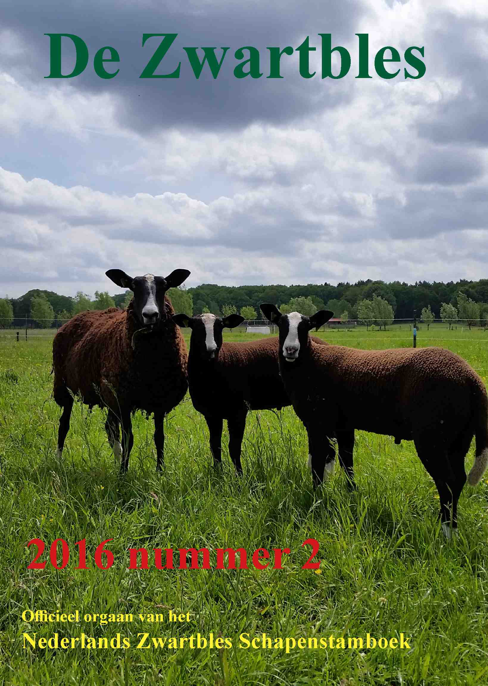 Cover editie juni 2016