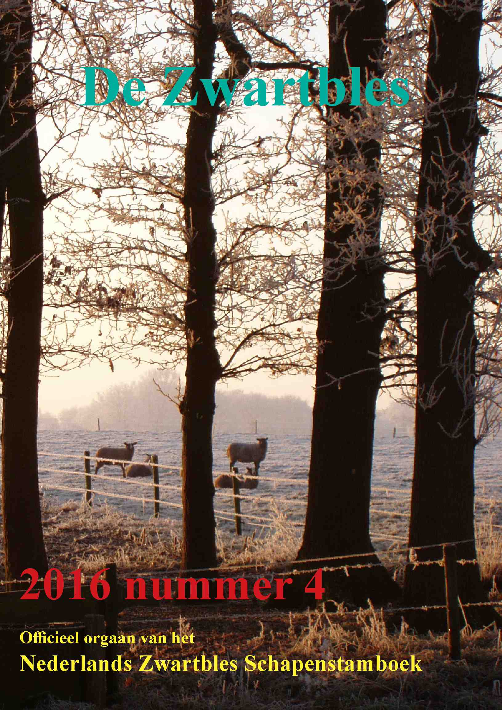 Cover editie december 2016