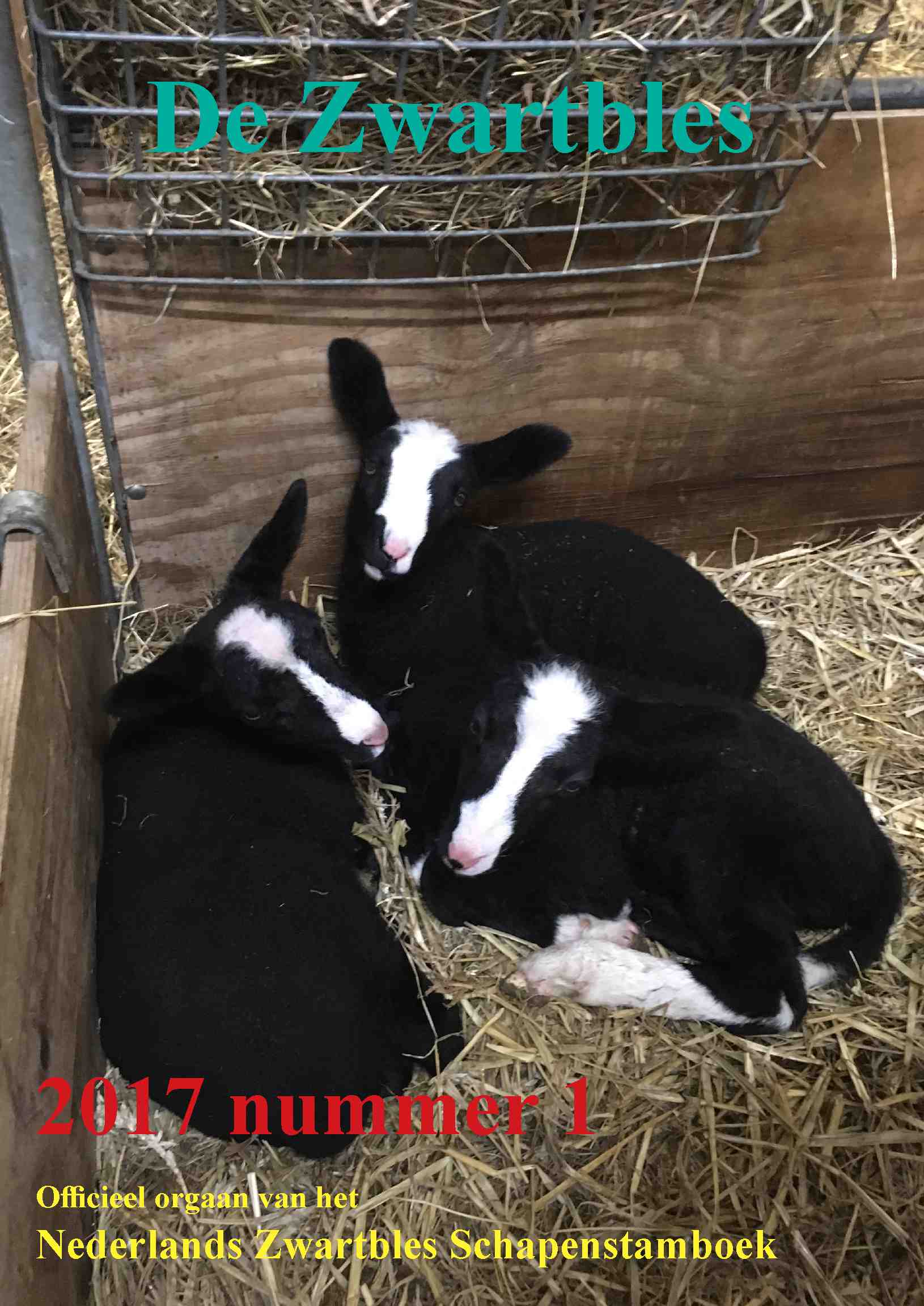 Cover editie maart 2017