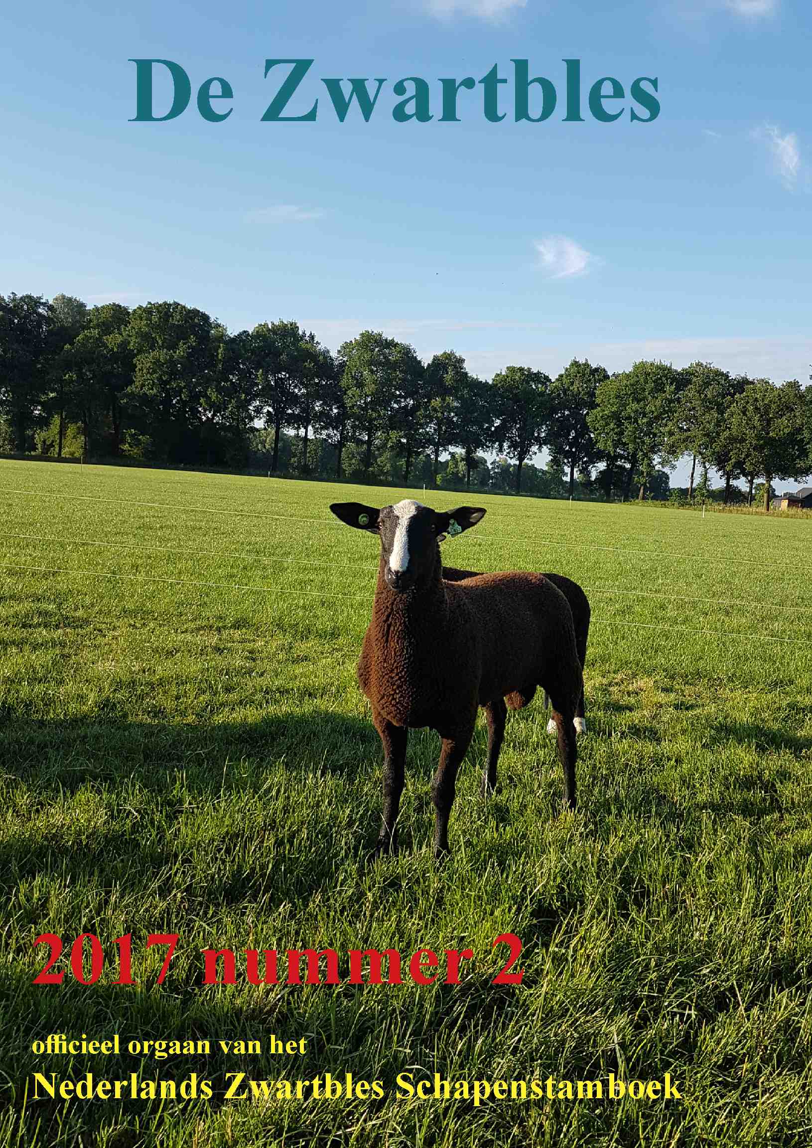 Cover editie juni 2017