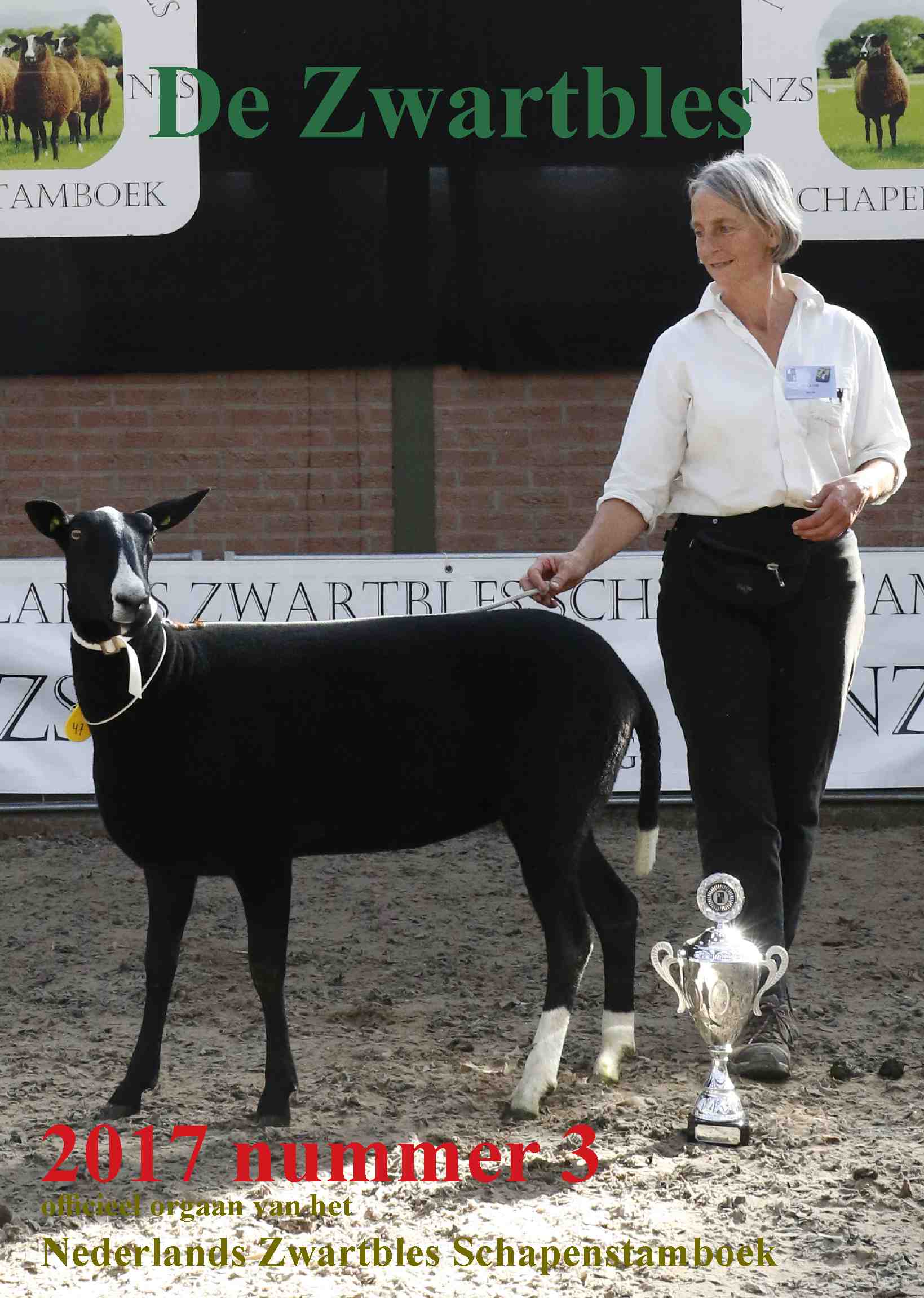 Cover editie oktober 2017