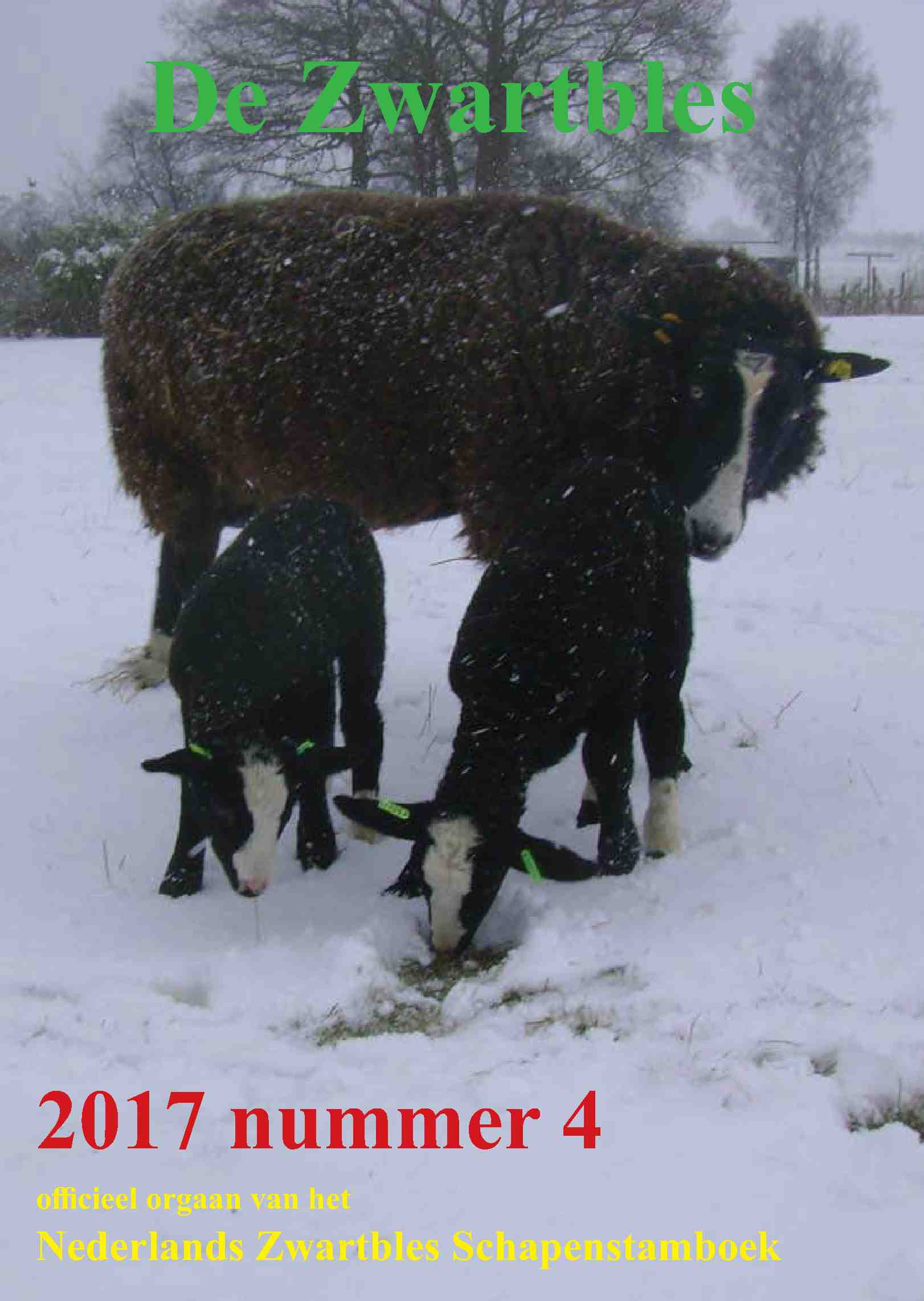 Cover editie december 2017