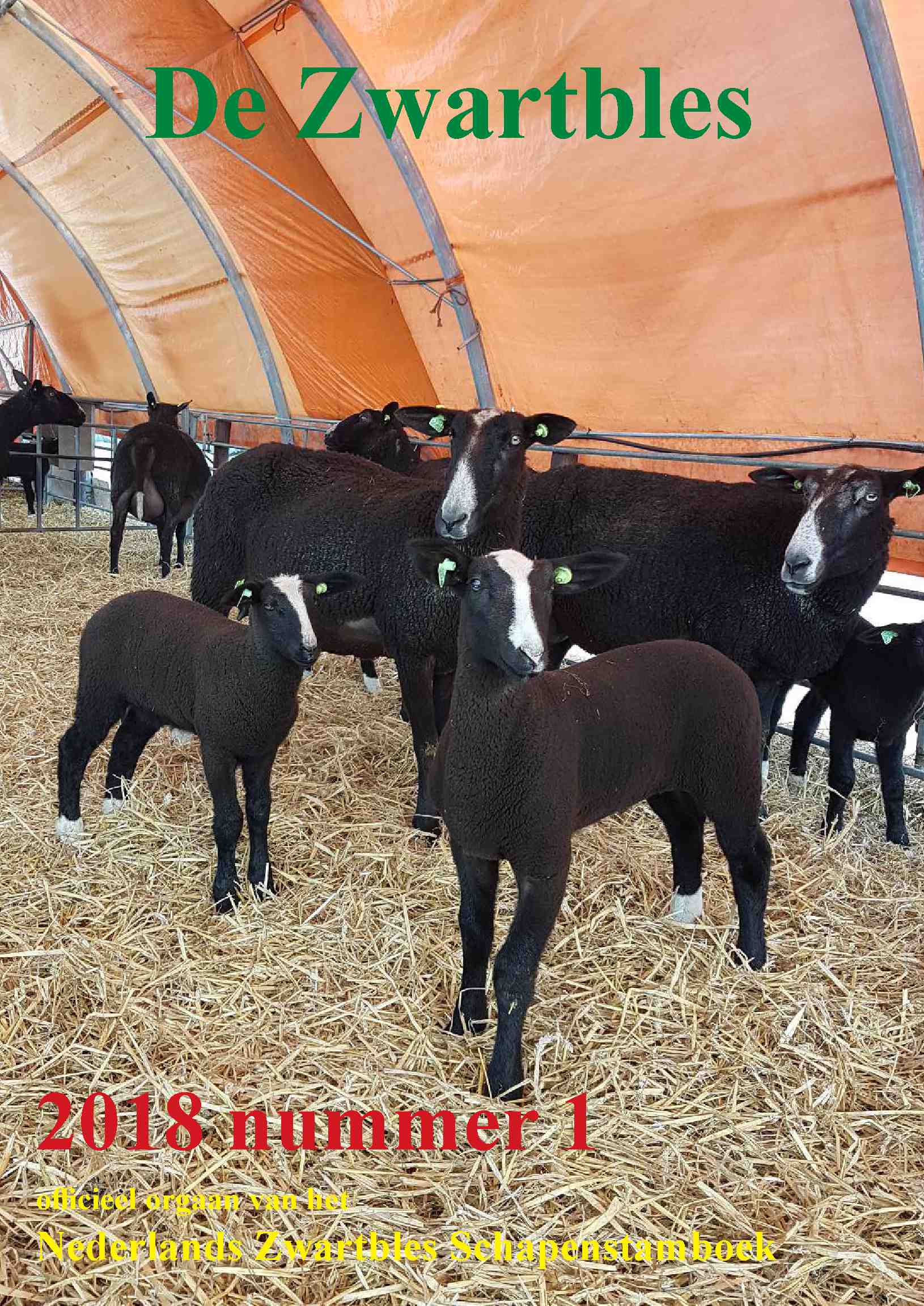 Cover editie maart 2018