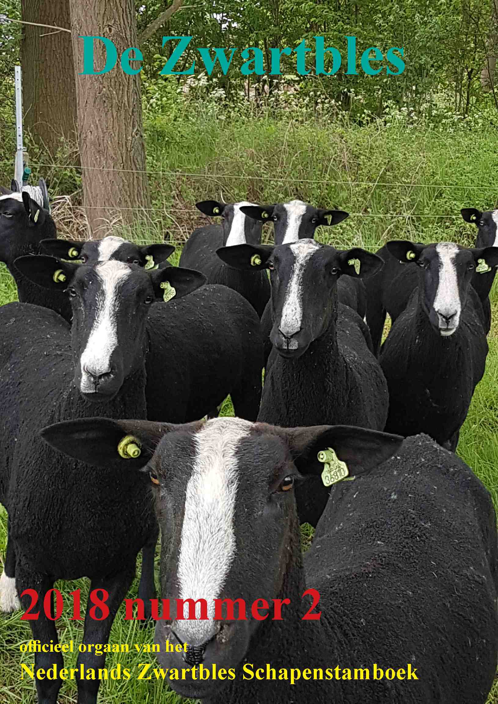 Cover editie juni 2018