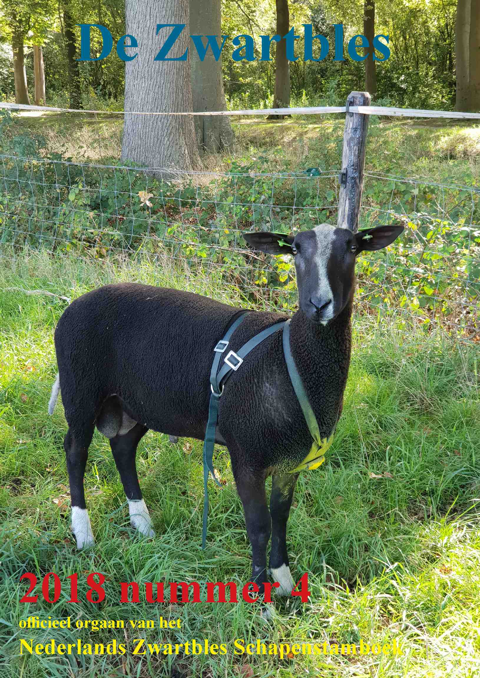 Cover editie december 2018