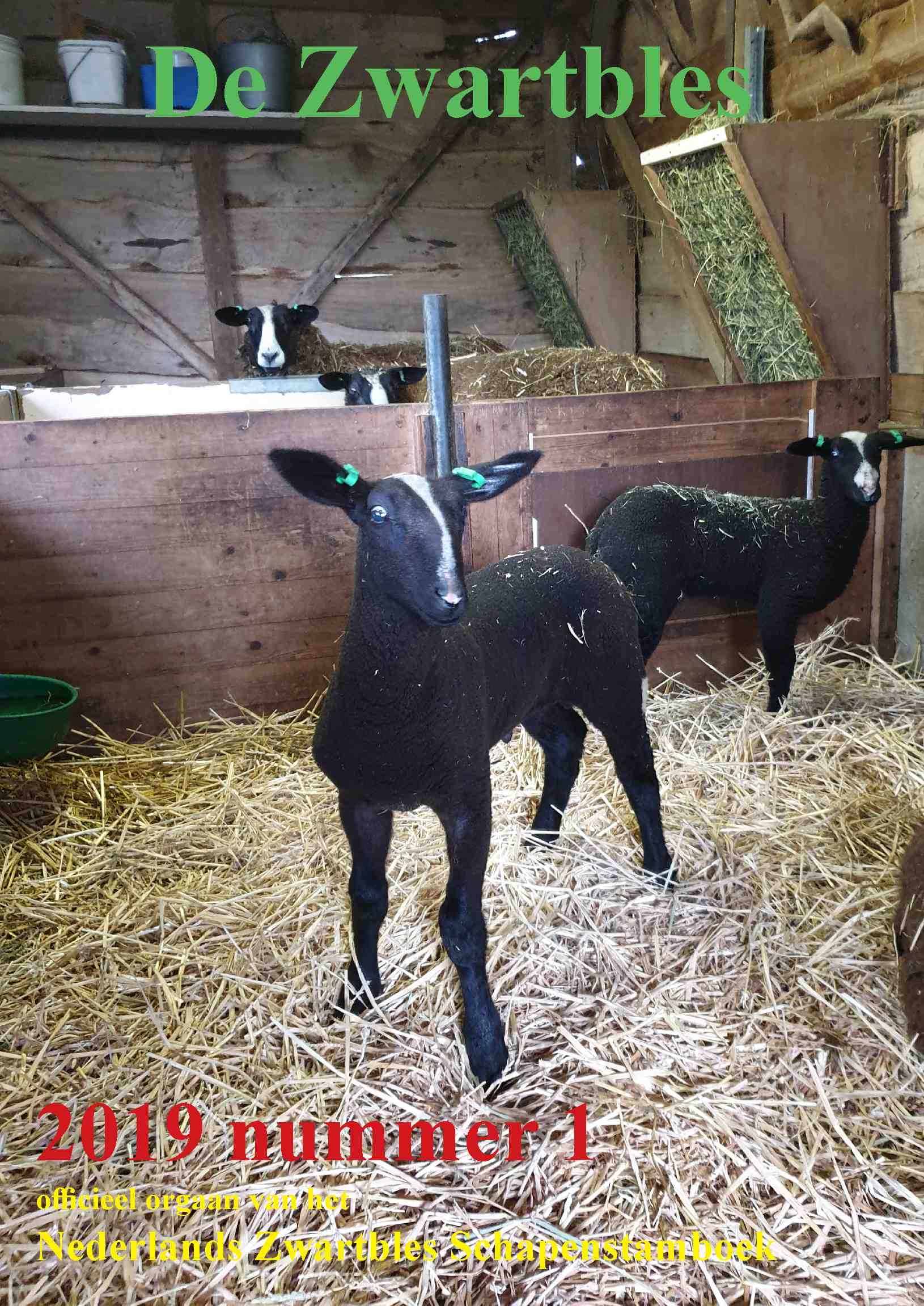 Cover editie maart 2019