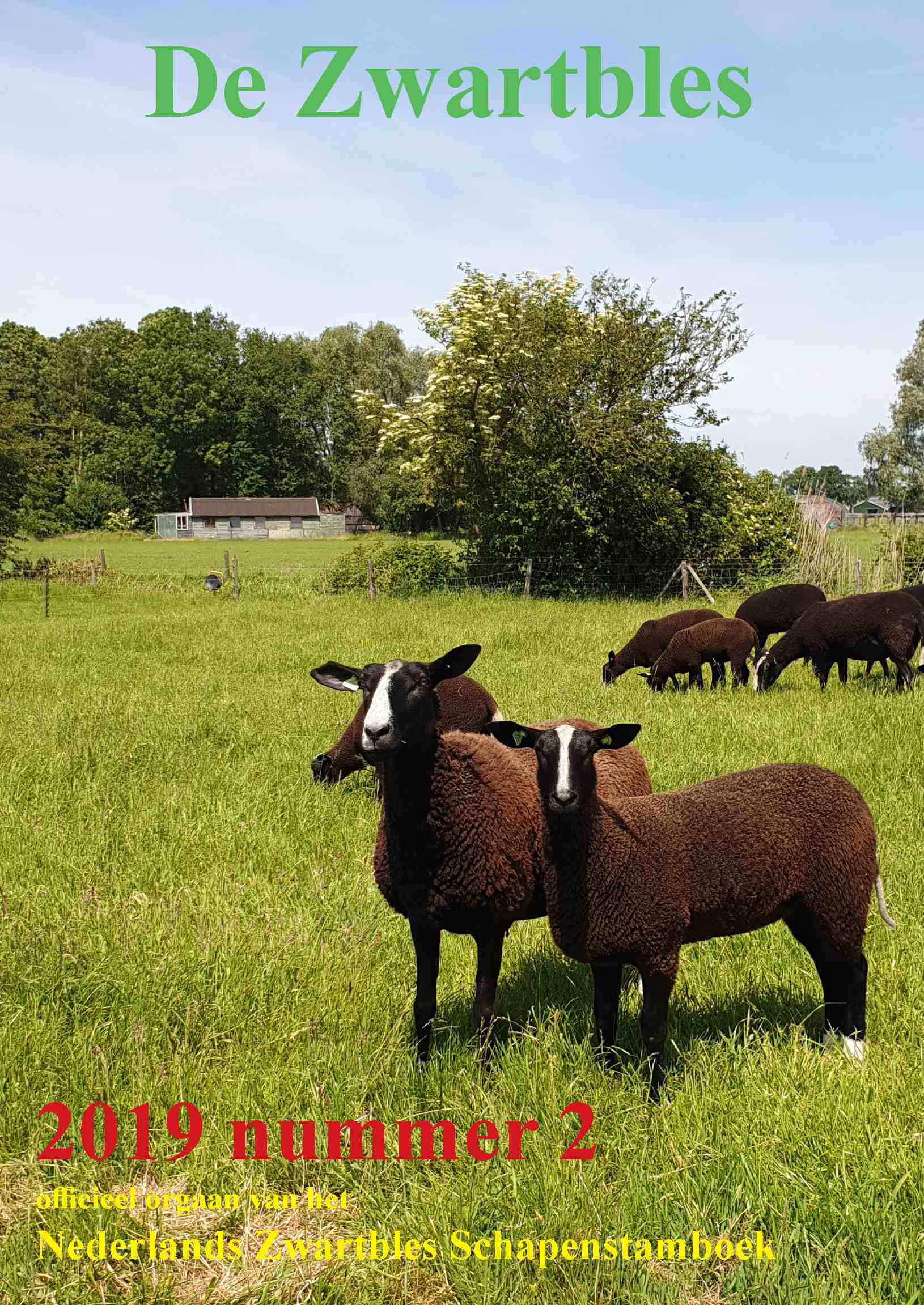 Cover editie juli 2019