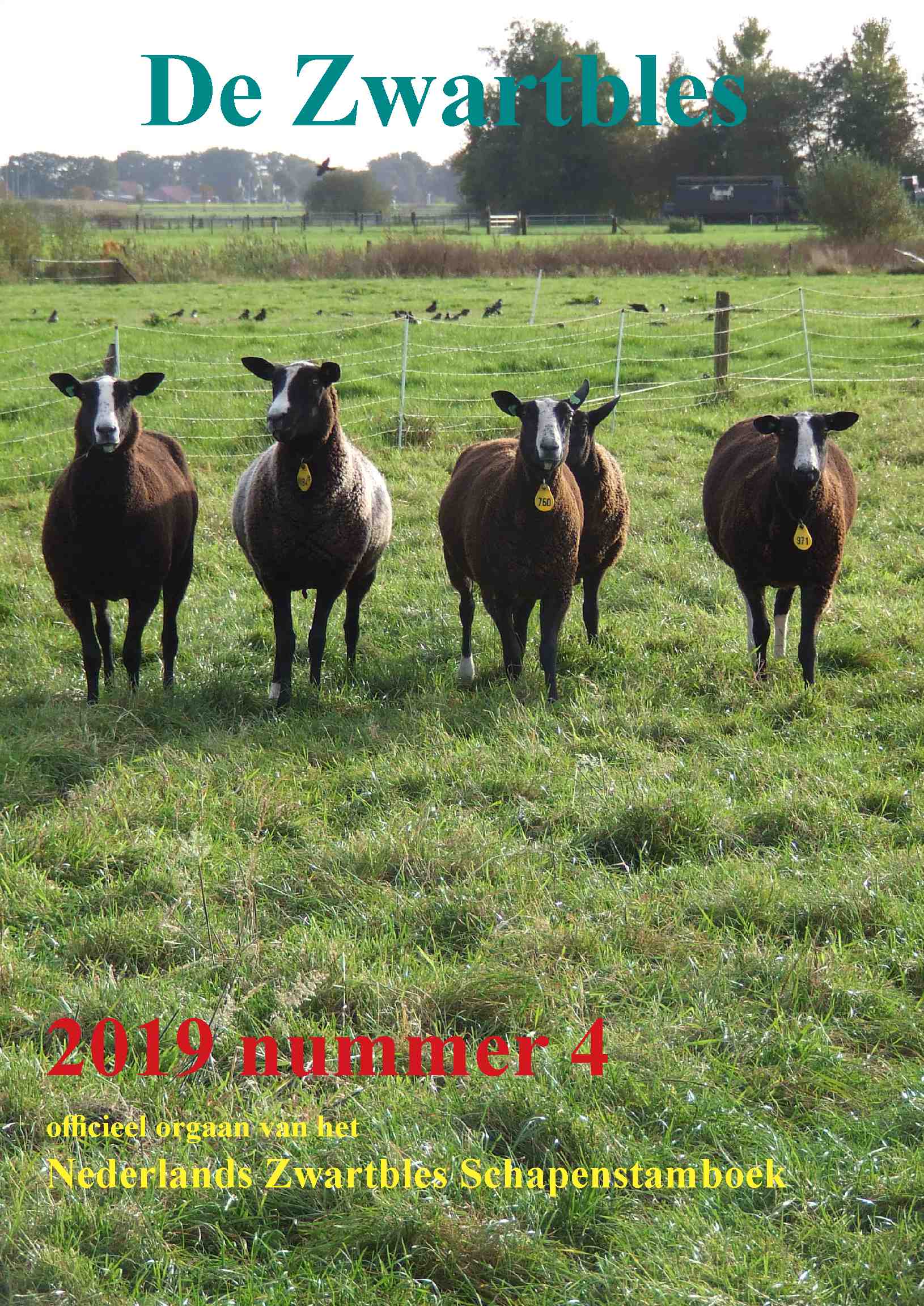 Cover editie december 2019