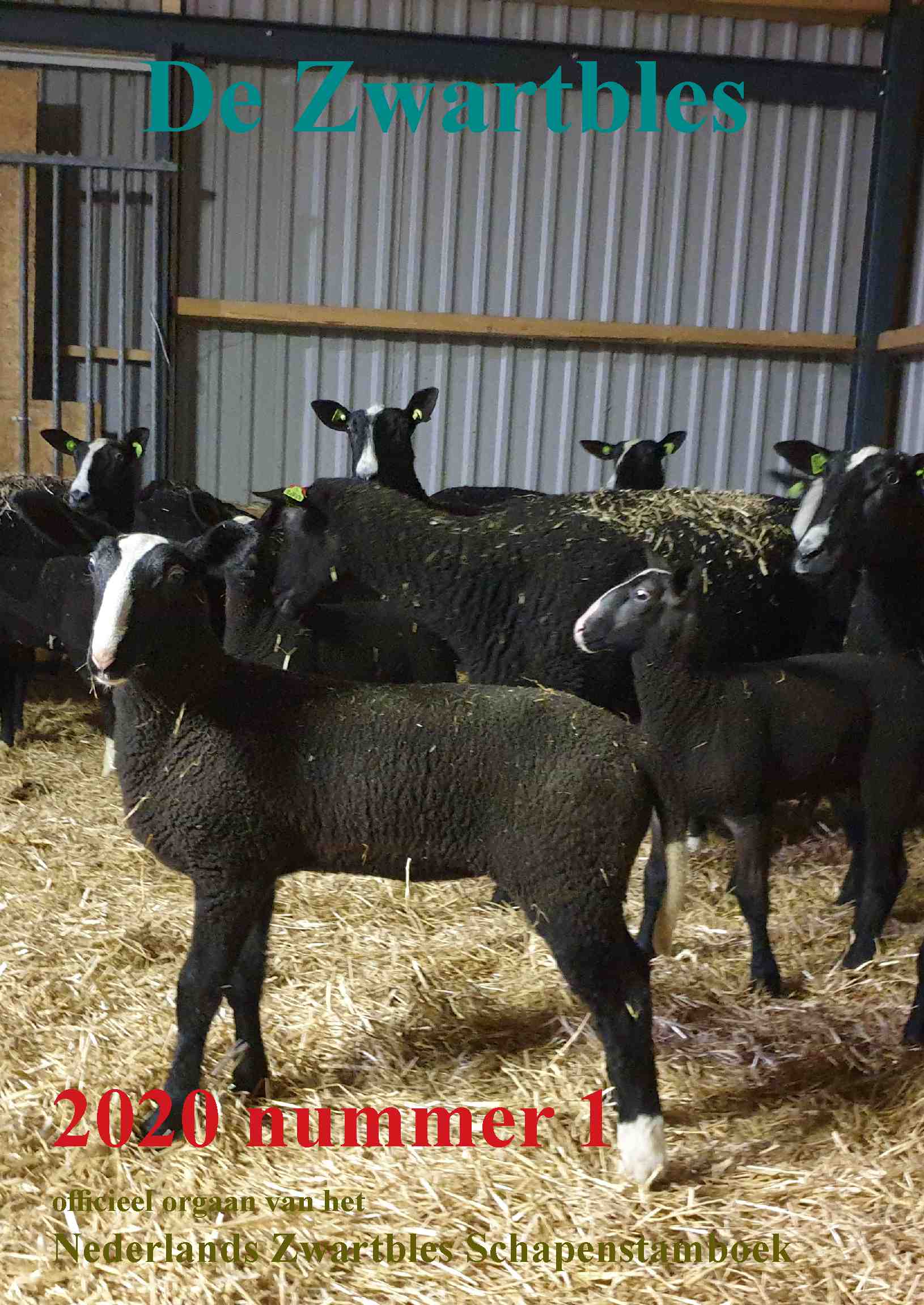 Cover editie maart 2020