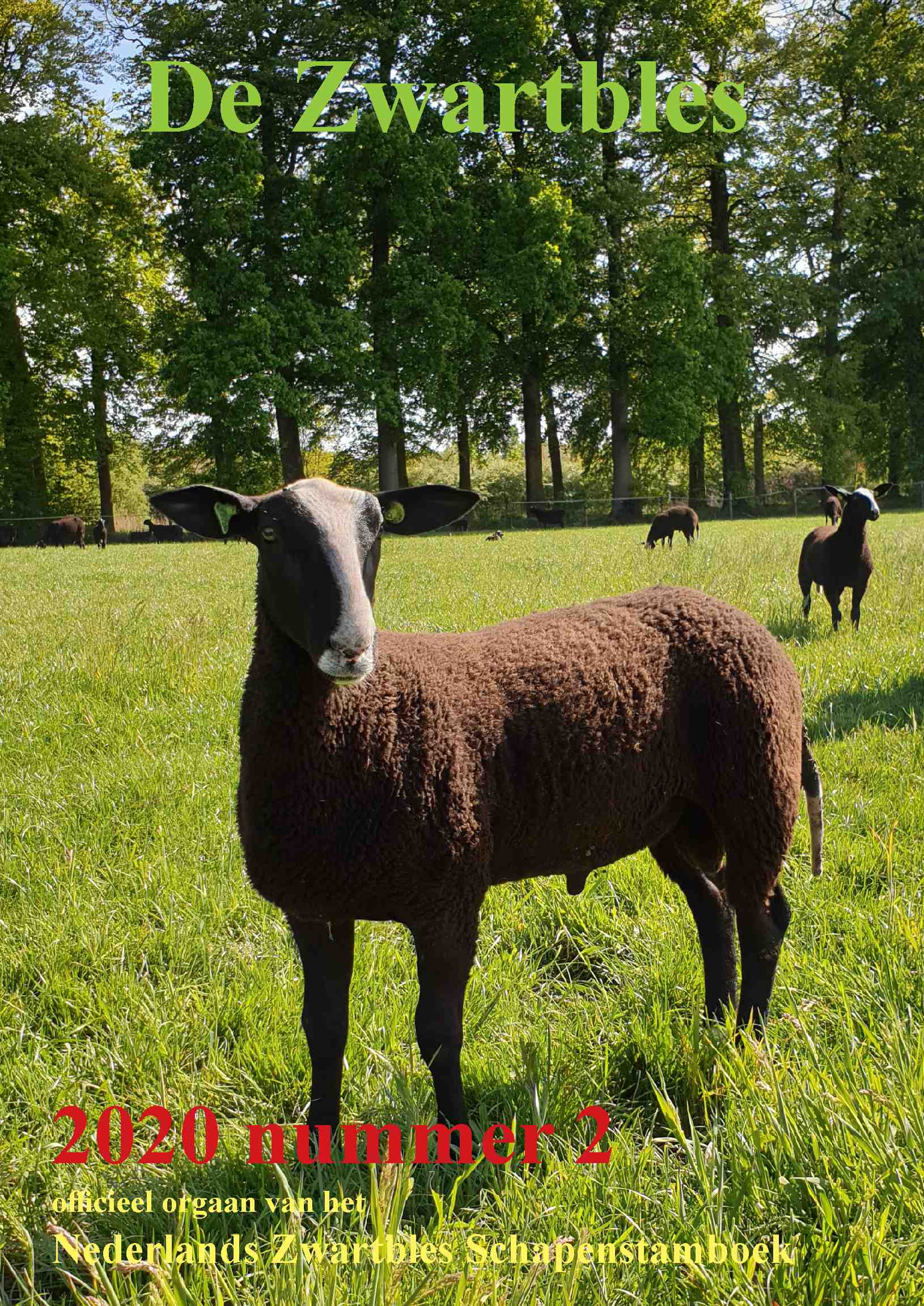 Cover editie juni 2020