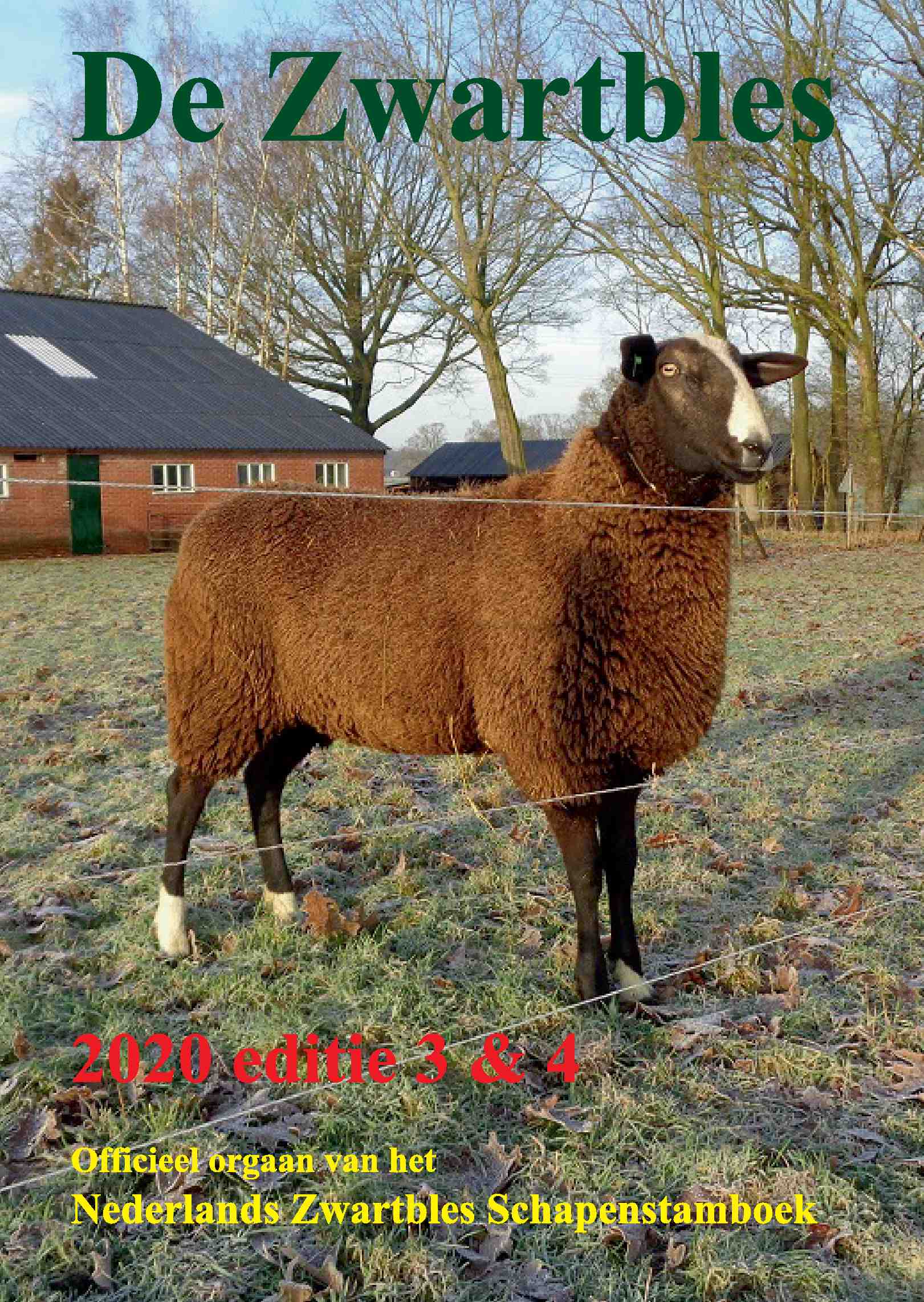 Cover editie december 2020