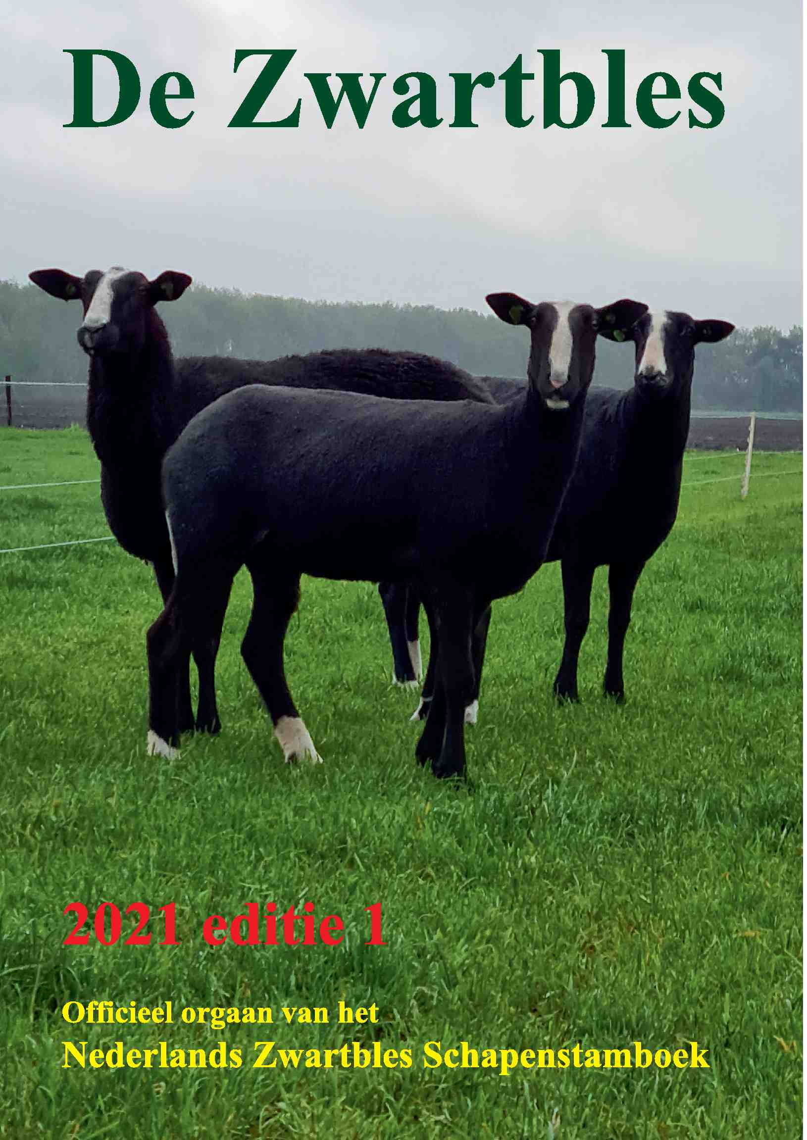 Cover editie mei 2021