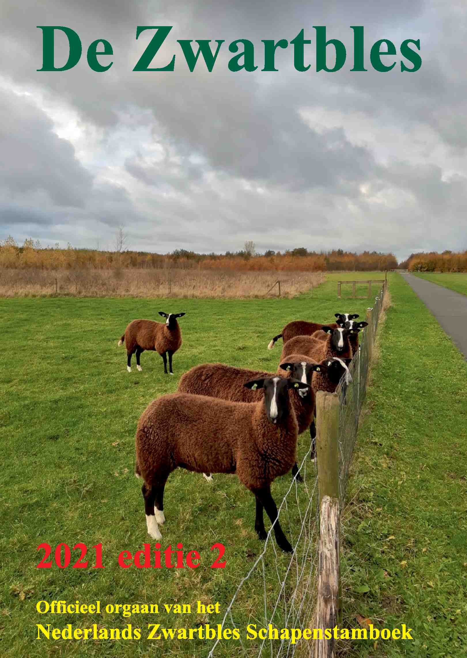 Cover editie december 2021