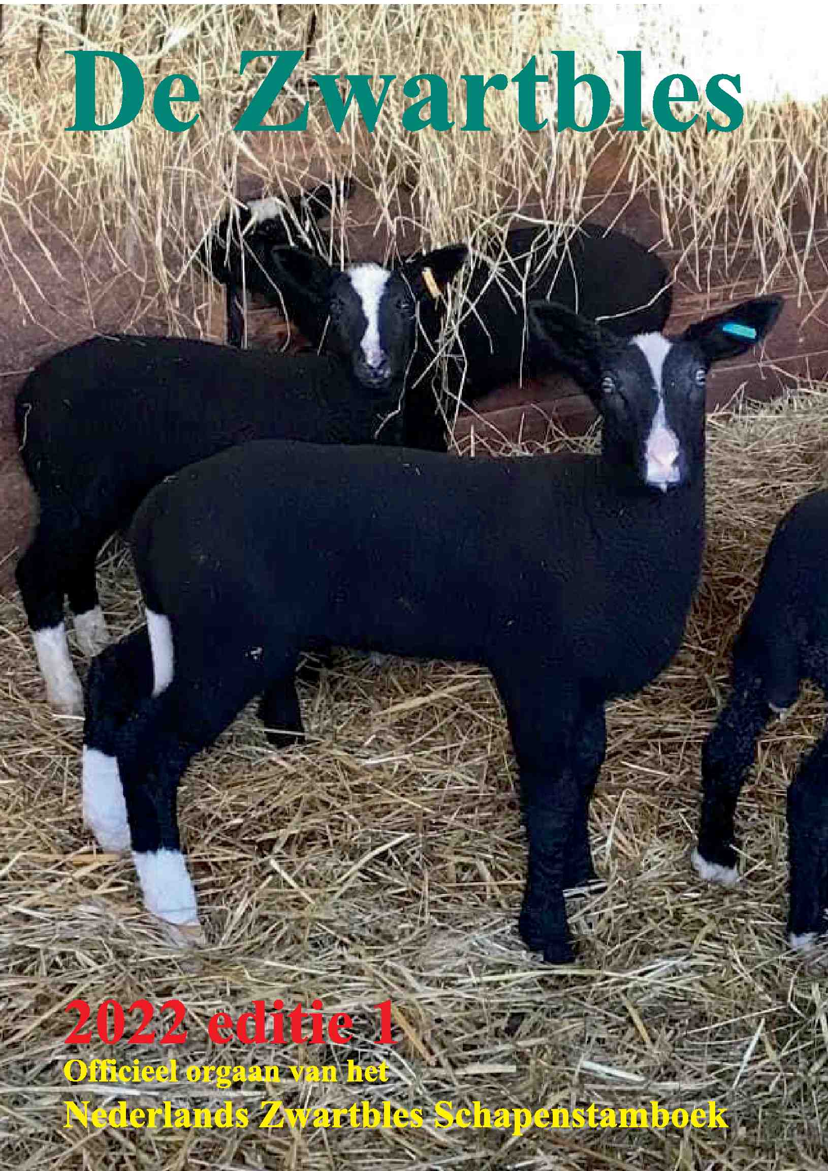 Cover editie april 2022