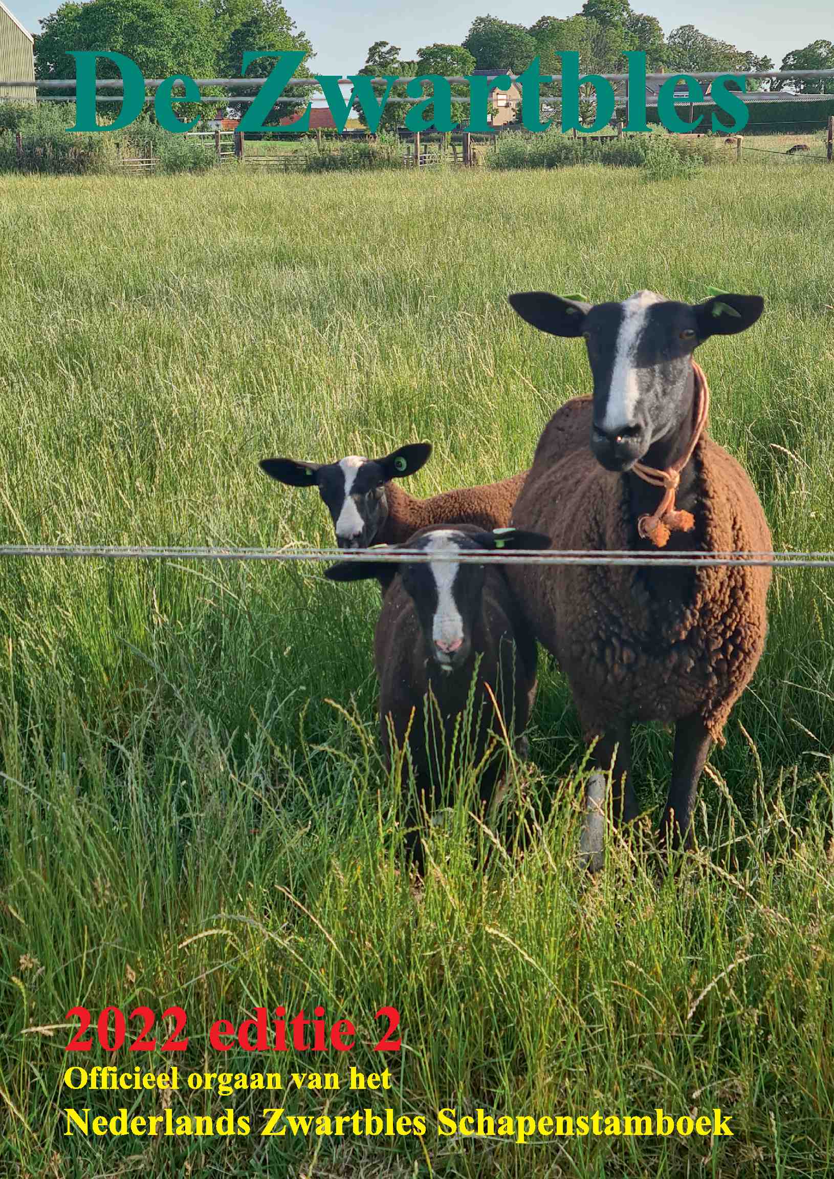 Cover editie juni 2022