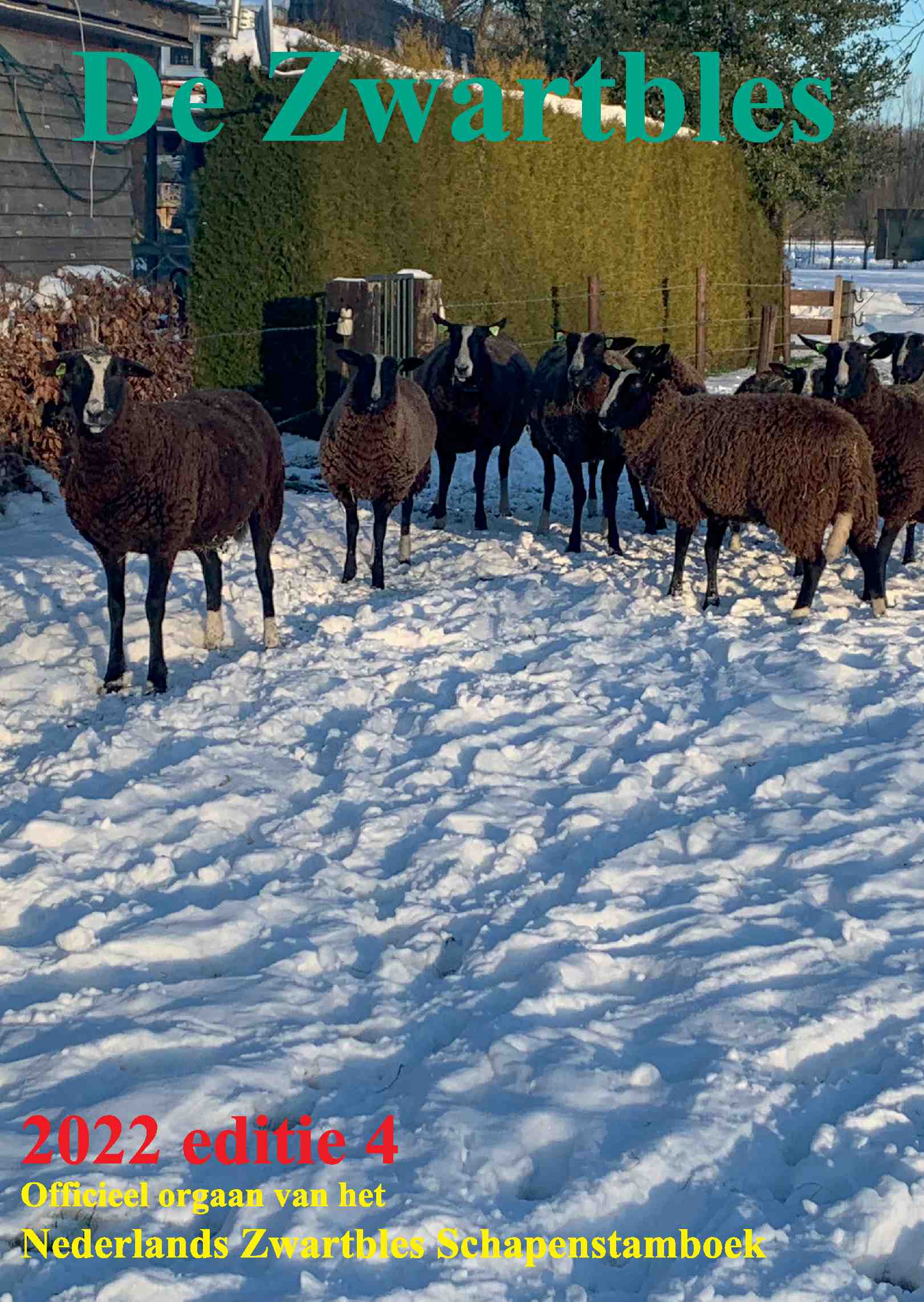 Cover editie december 2022