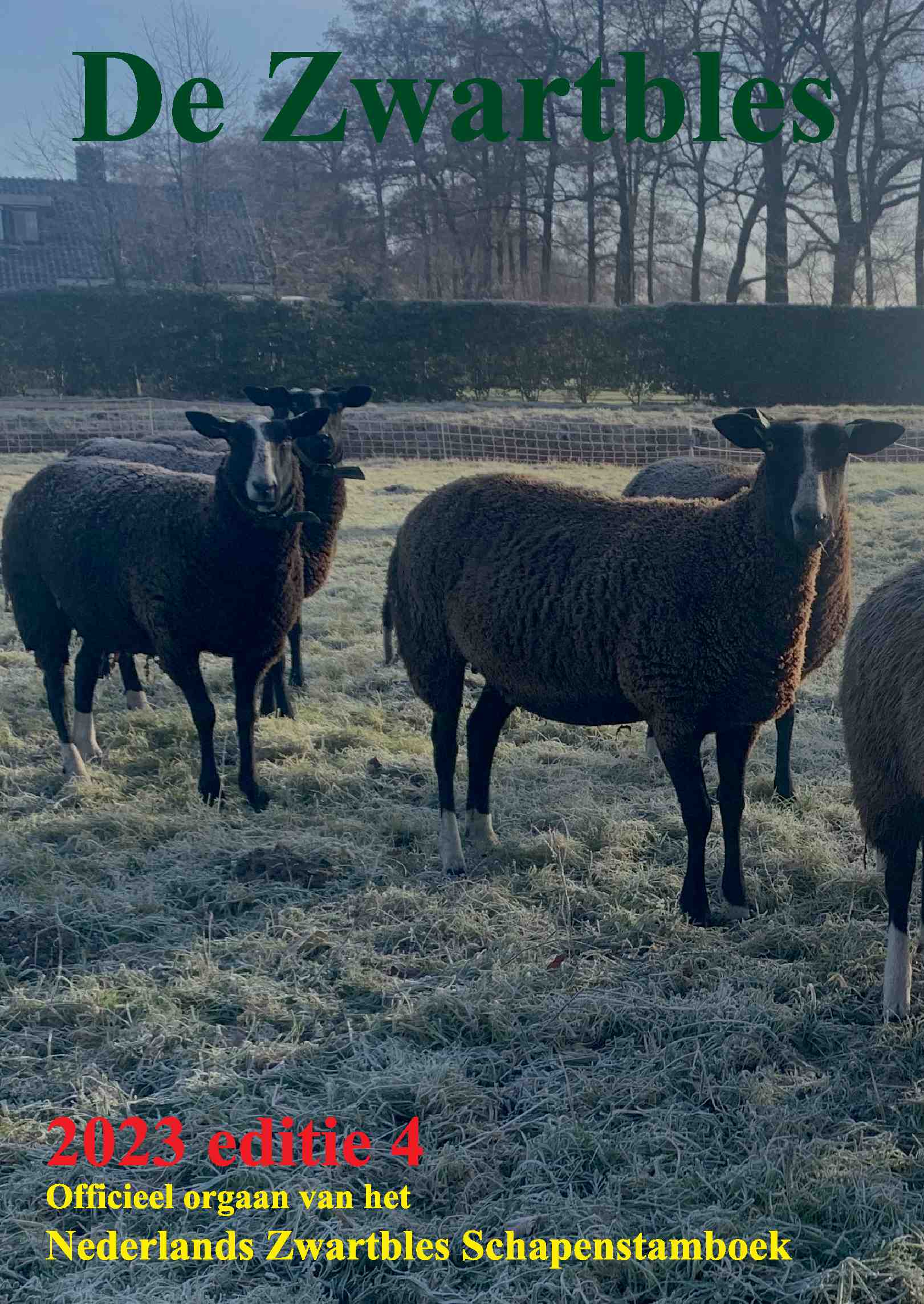 Cover editie december 2023