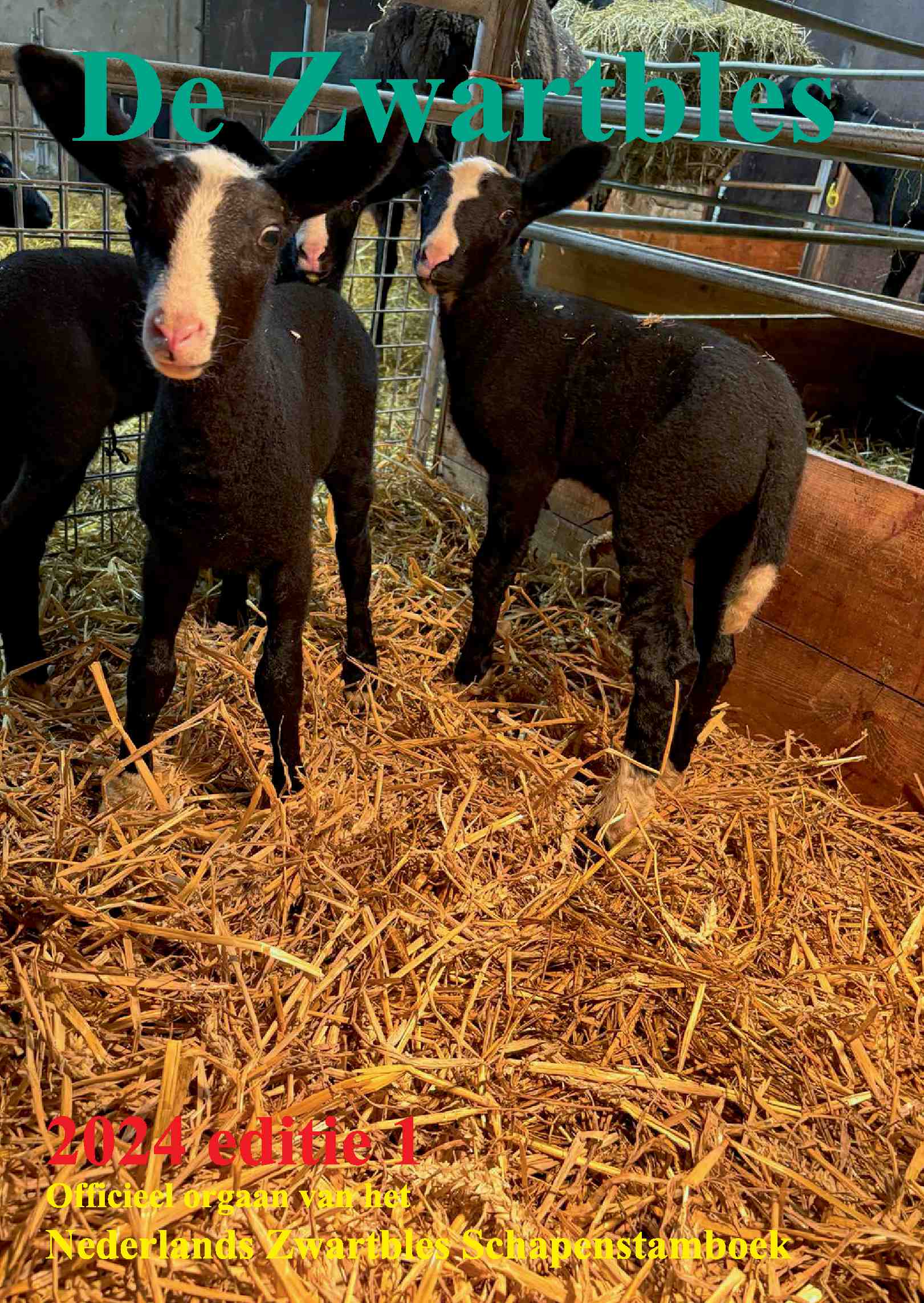 Cover editie maart 2024