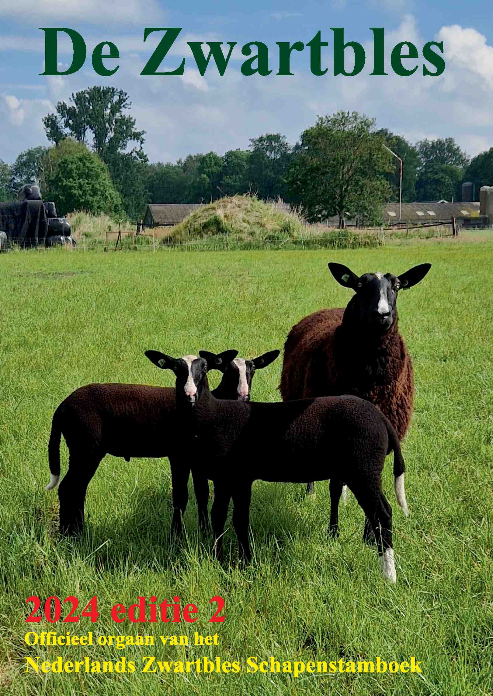 Cover editie juni 2024