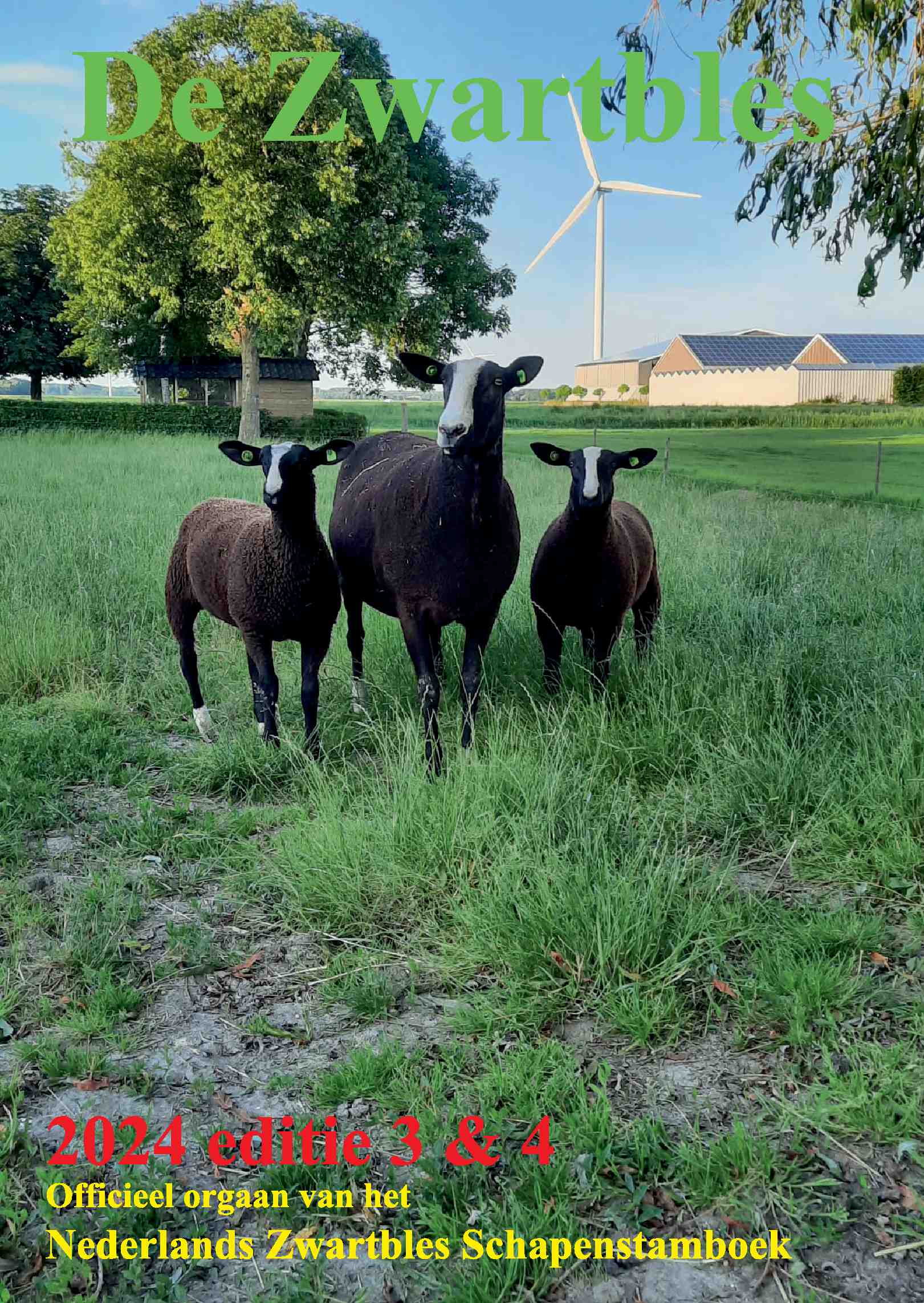 Cover editie december 2024