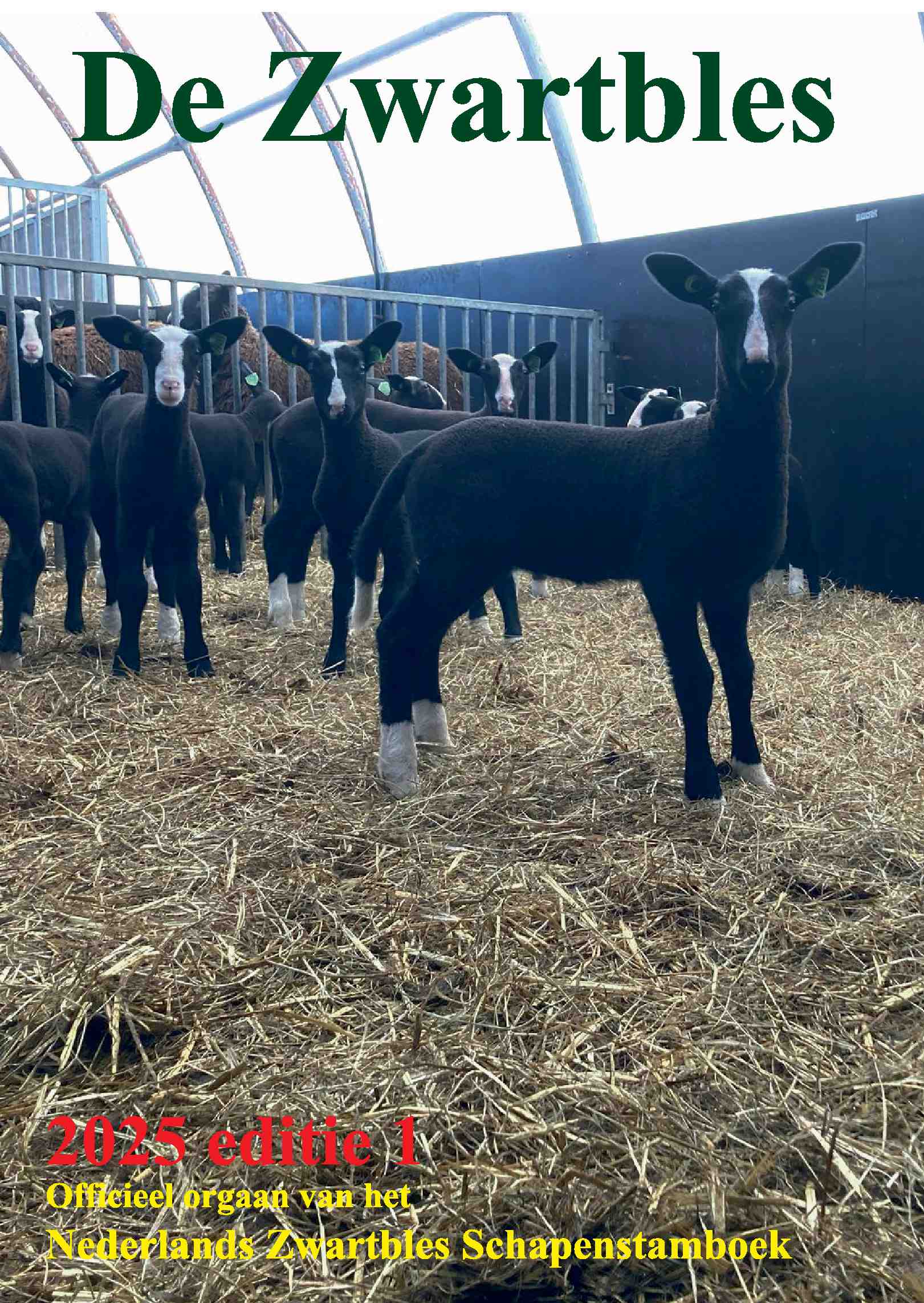 Cover editie maart 2025