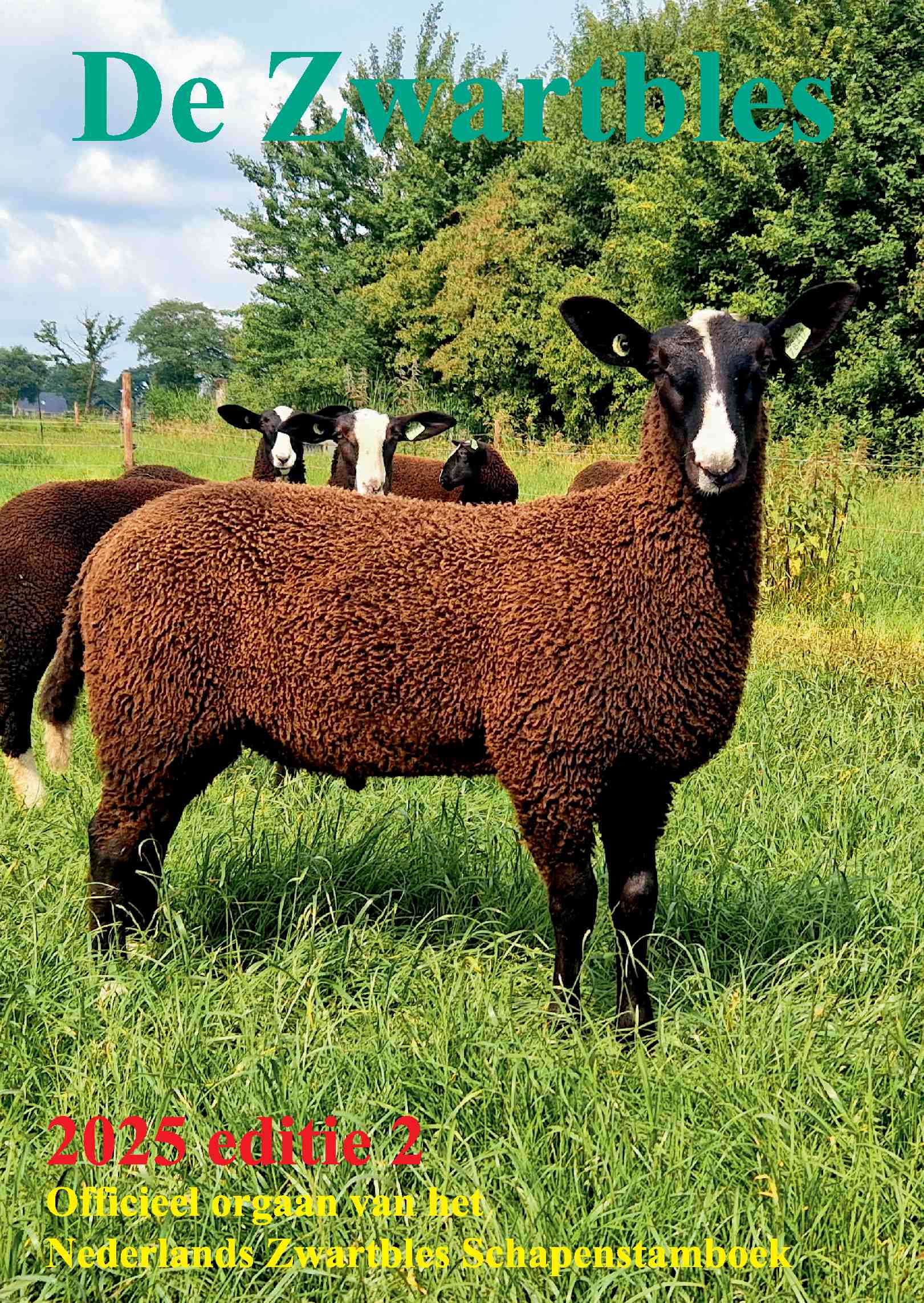 Cover editie juli 2025